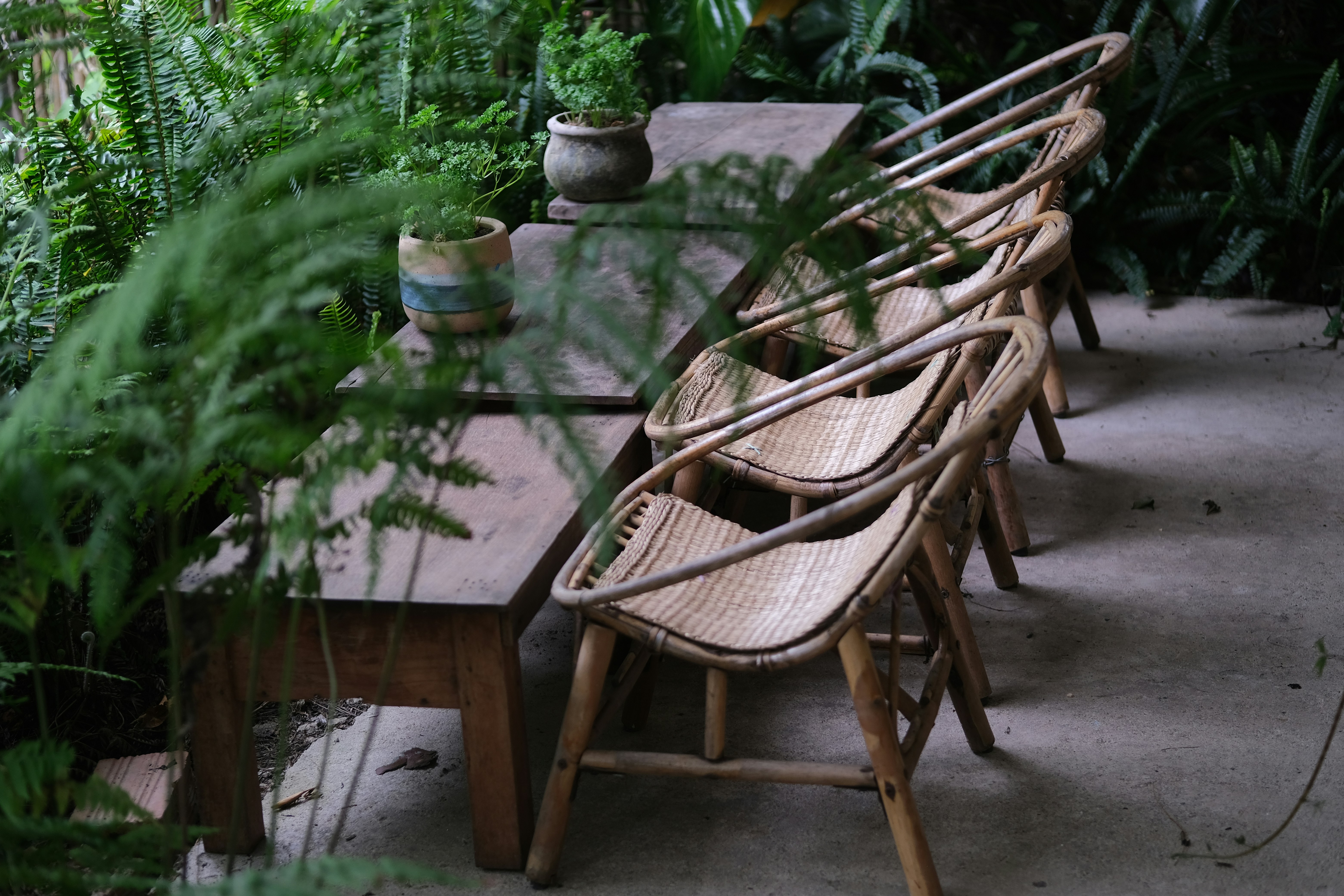 A wooden table with chairs and plants on top of it