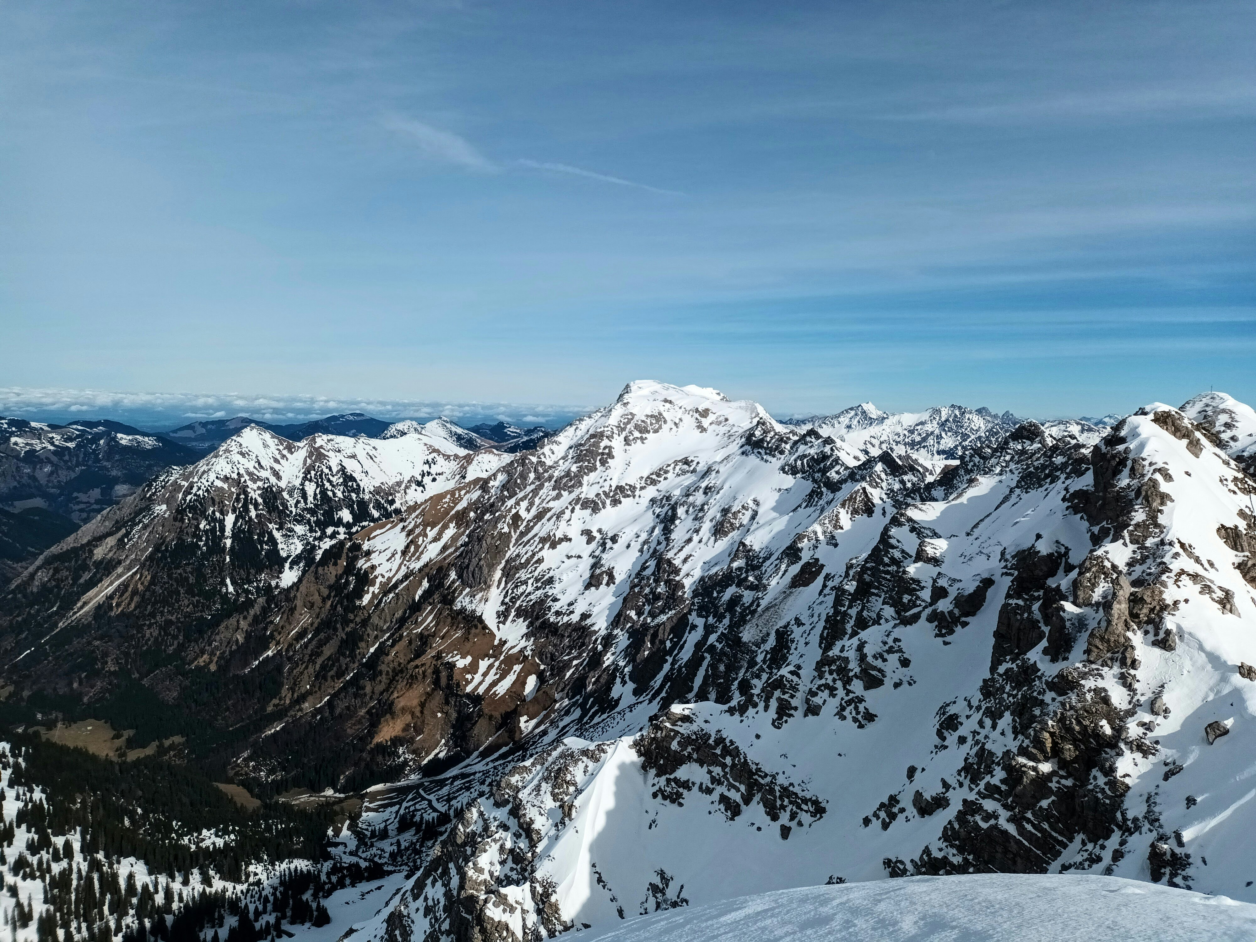 Photo by barbara_light