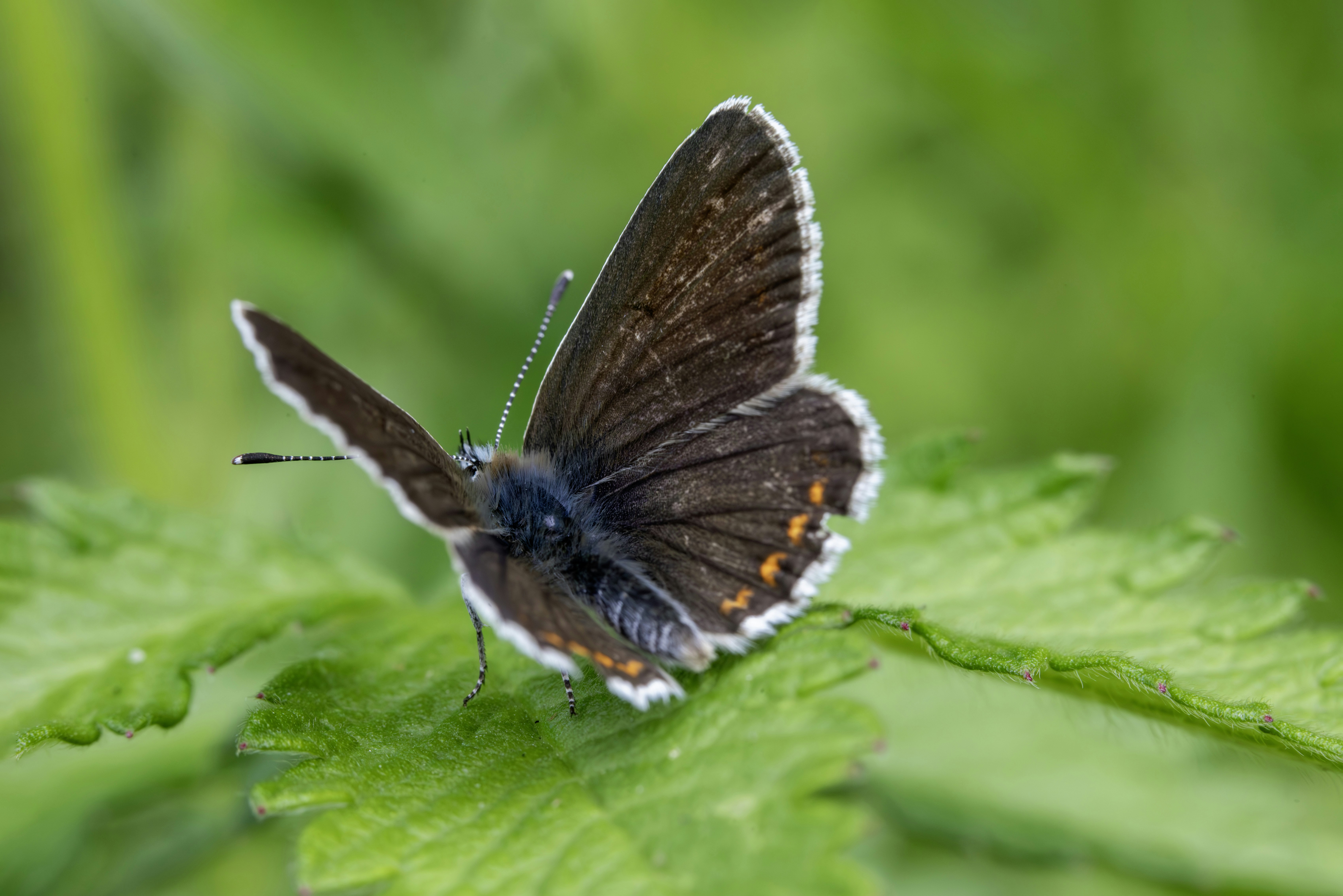 Photo by erik_karits