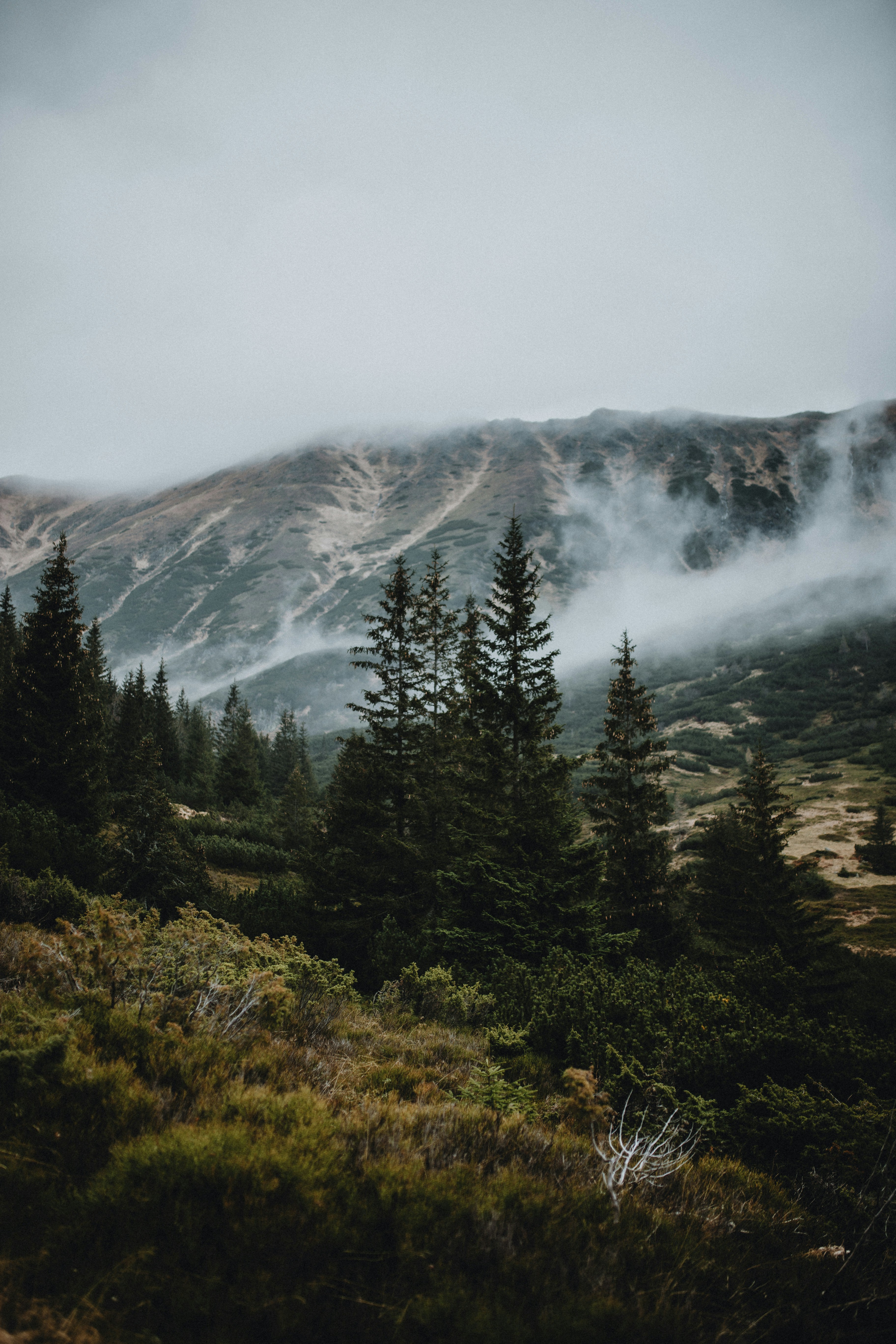 Material Passports: Information Infrastructure for Circular Supply Chains