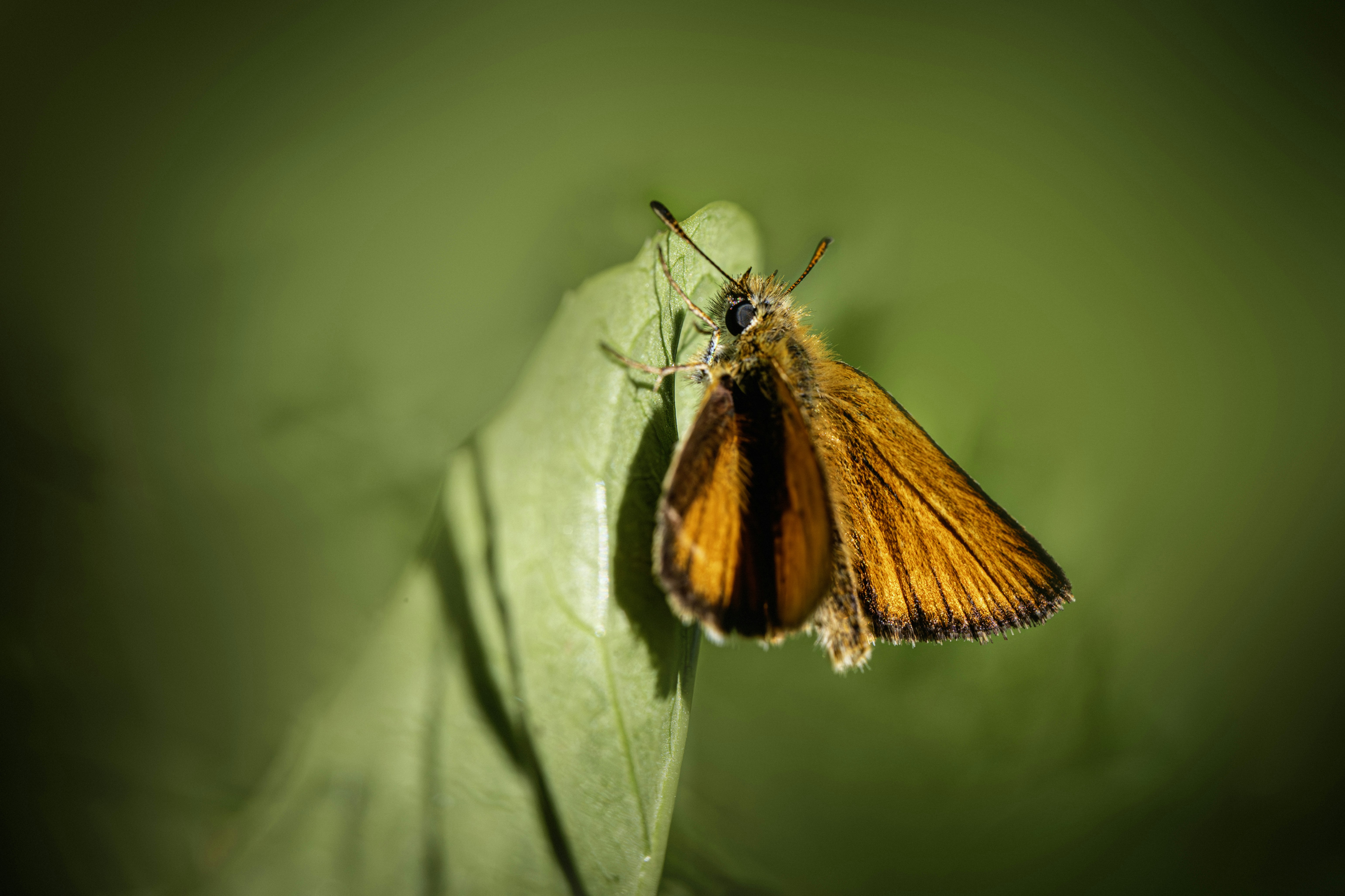 Photo by erik_karits