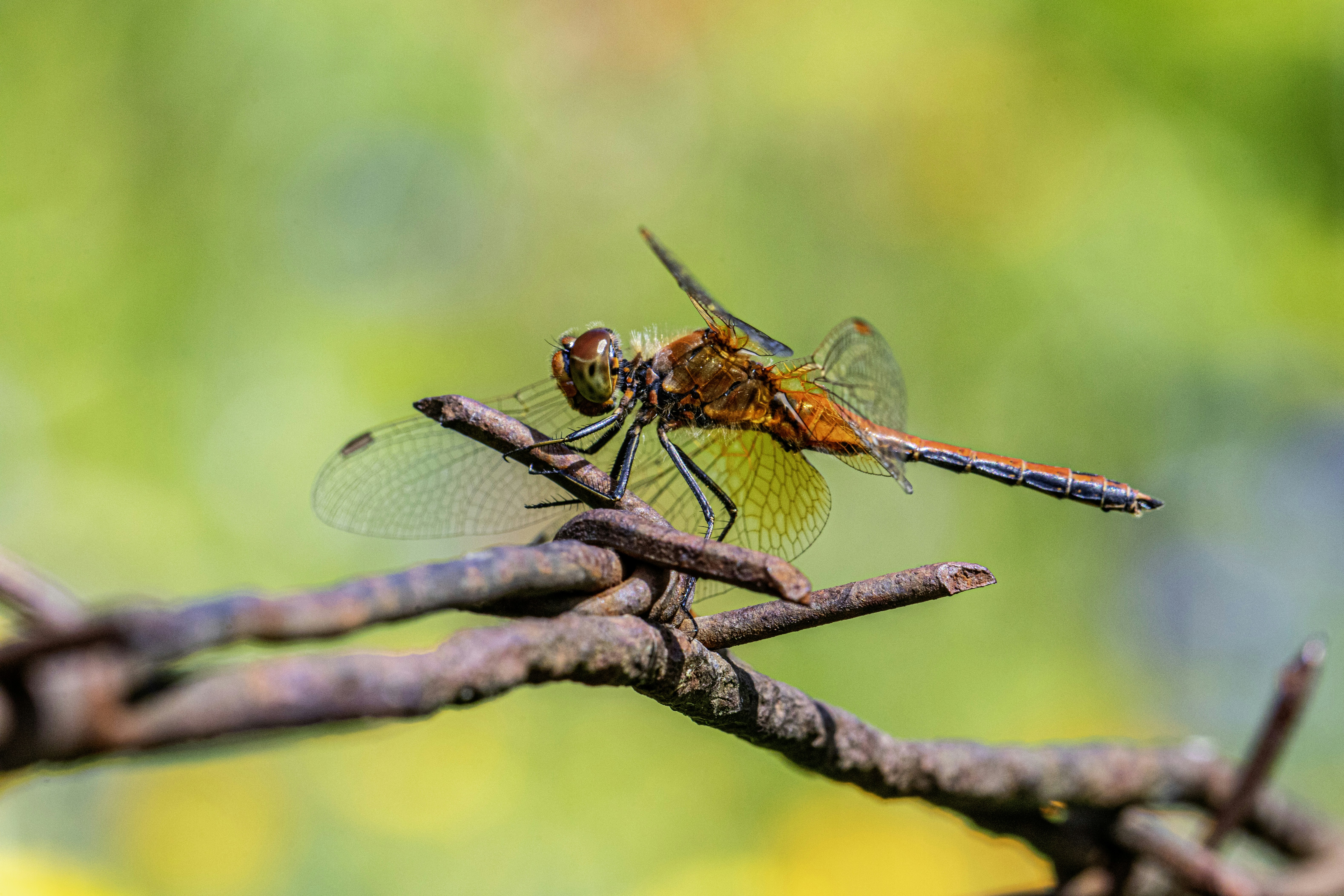 Photo by erik_karits