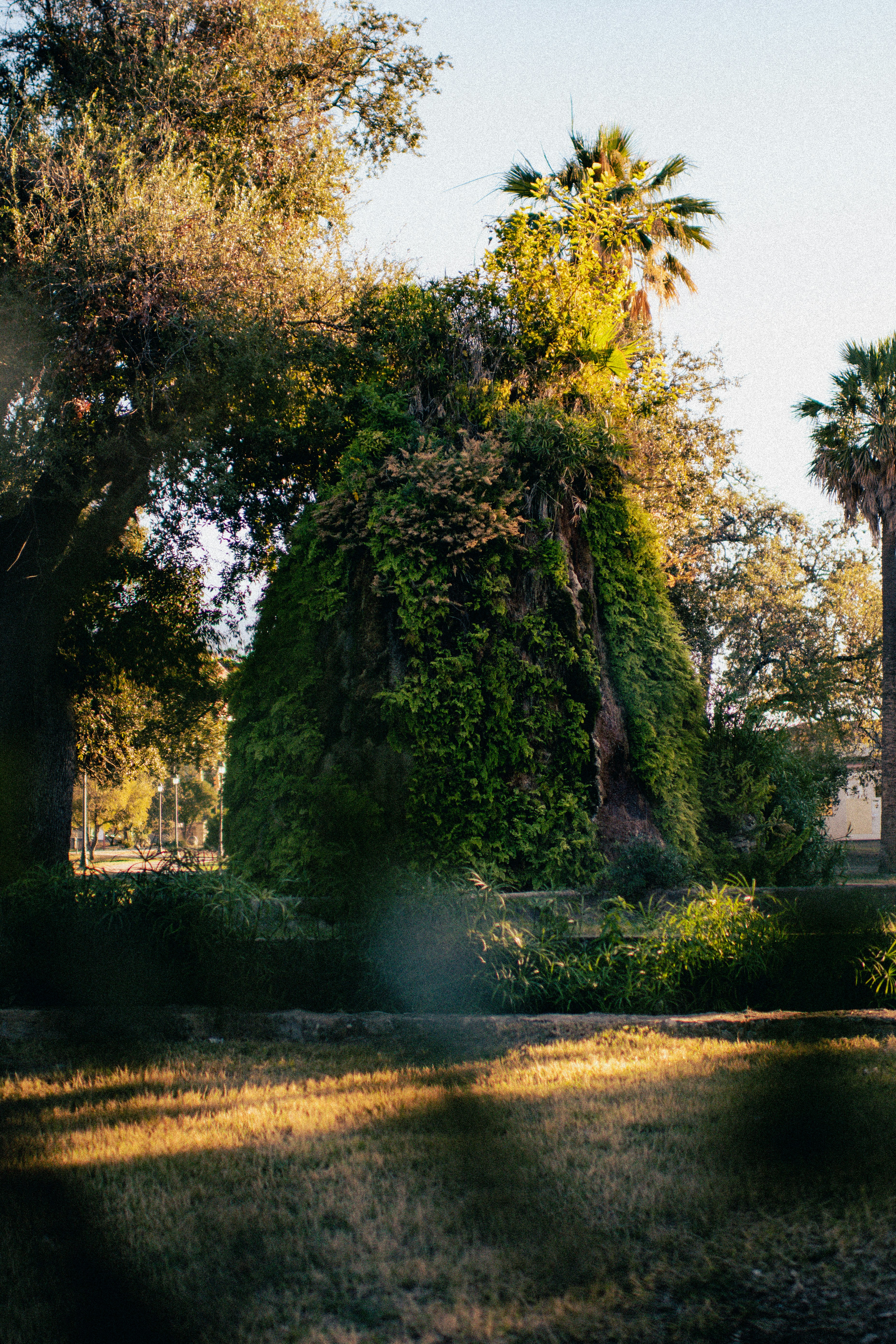 Photo by isaacfellows