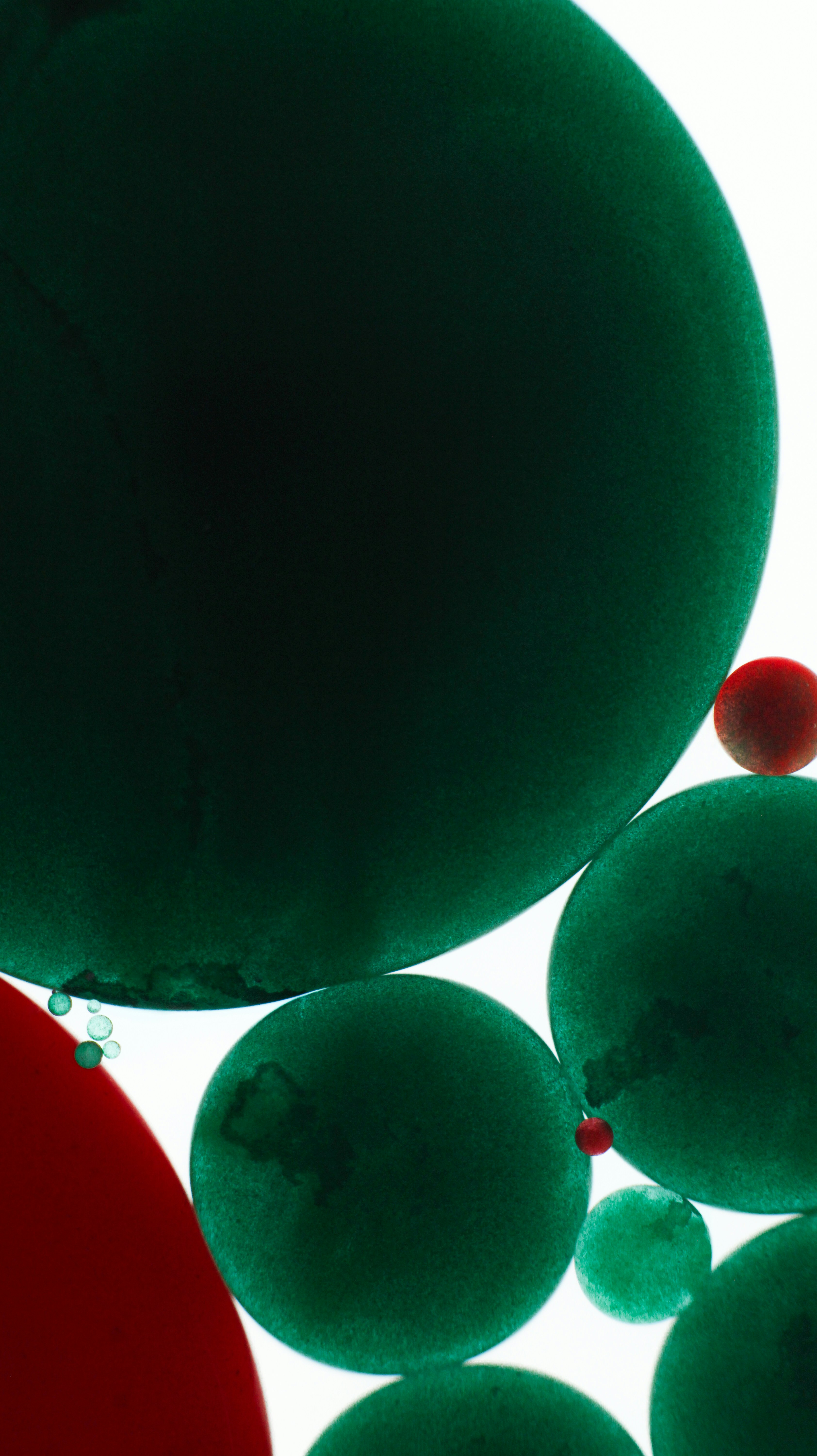 Photo by susan_wilkinson