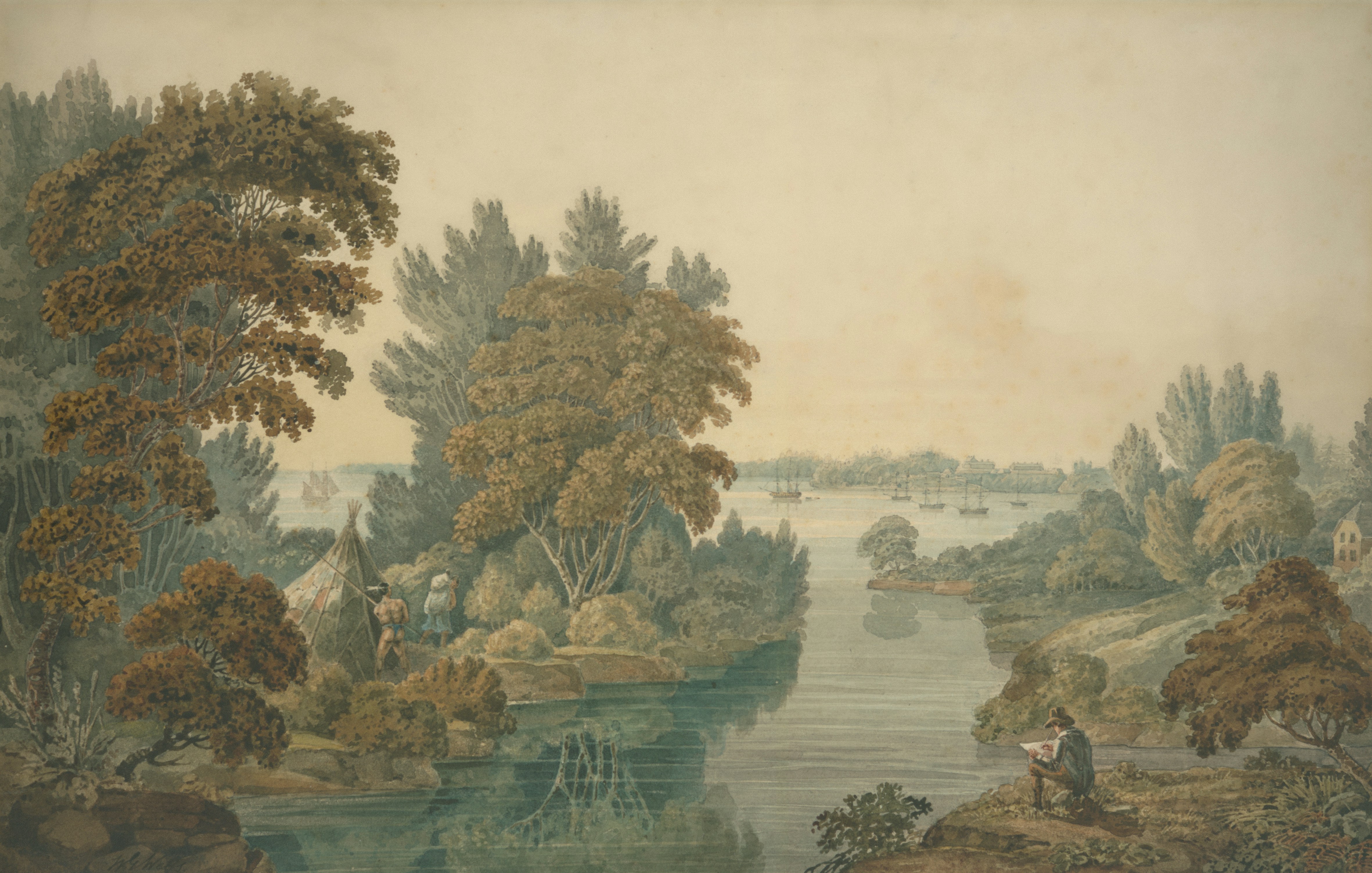 صورة توضيحية لـ أهمية التشجير - أهمية