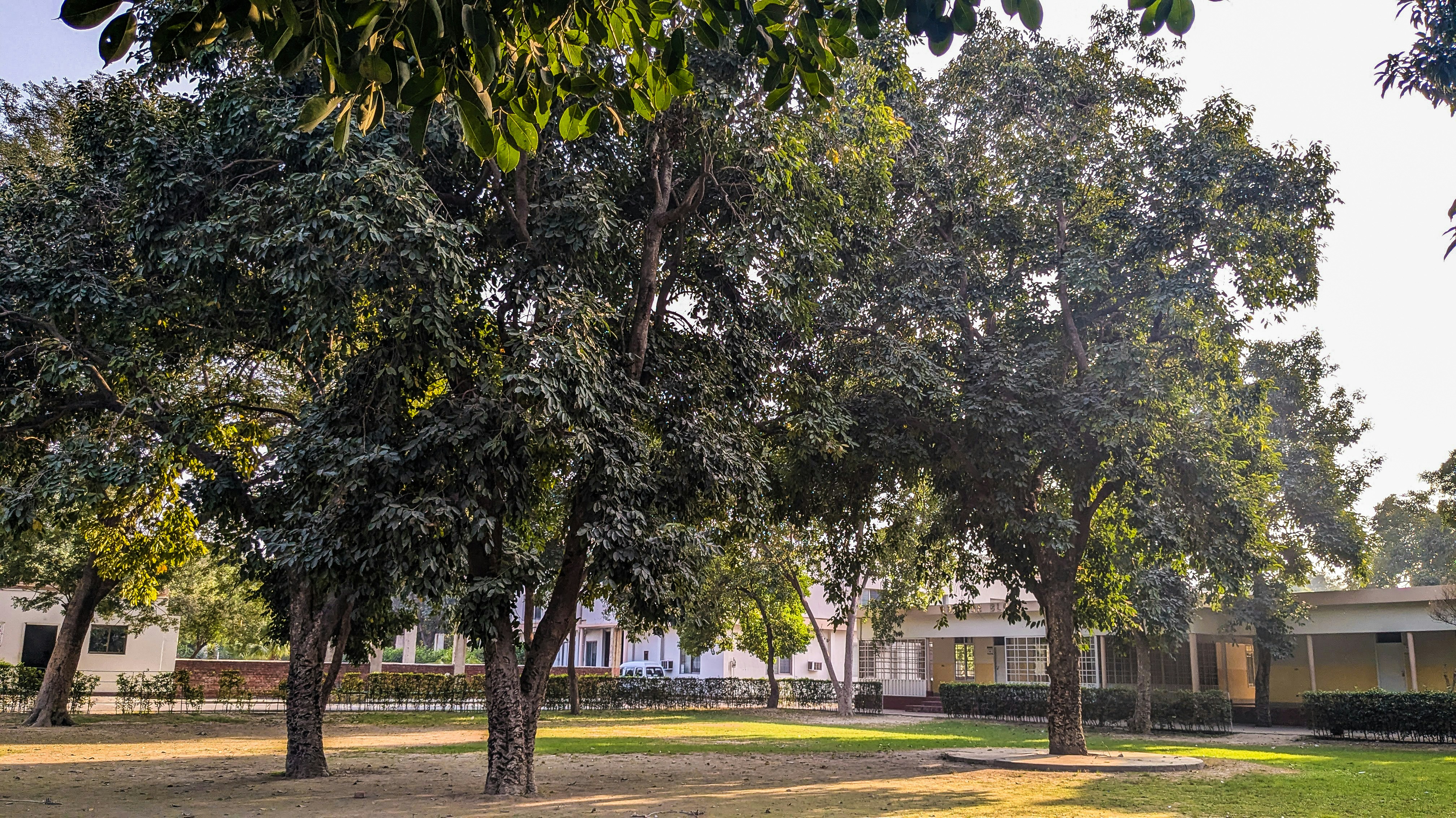 Photo by drphotographer152