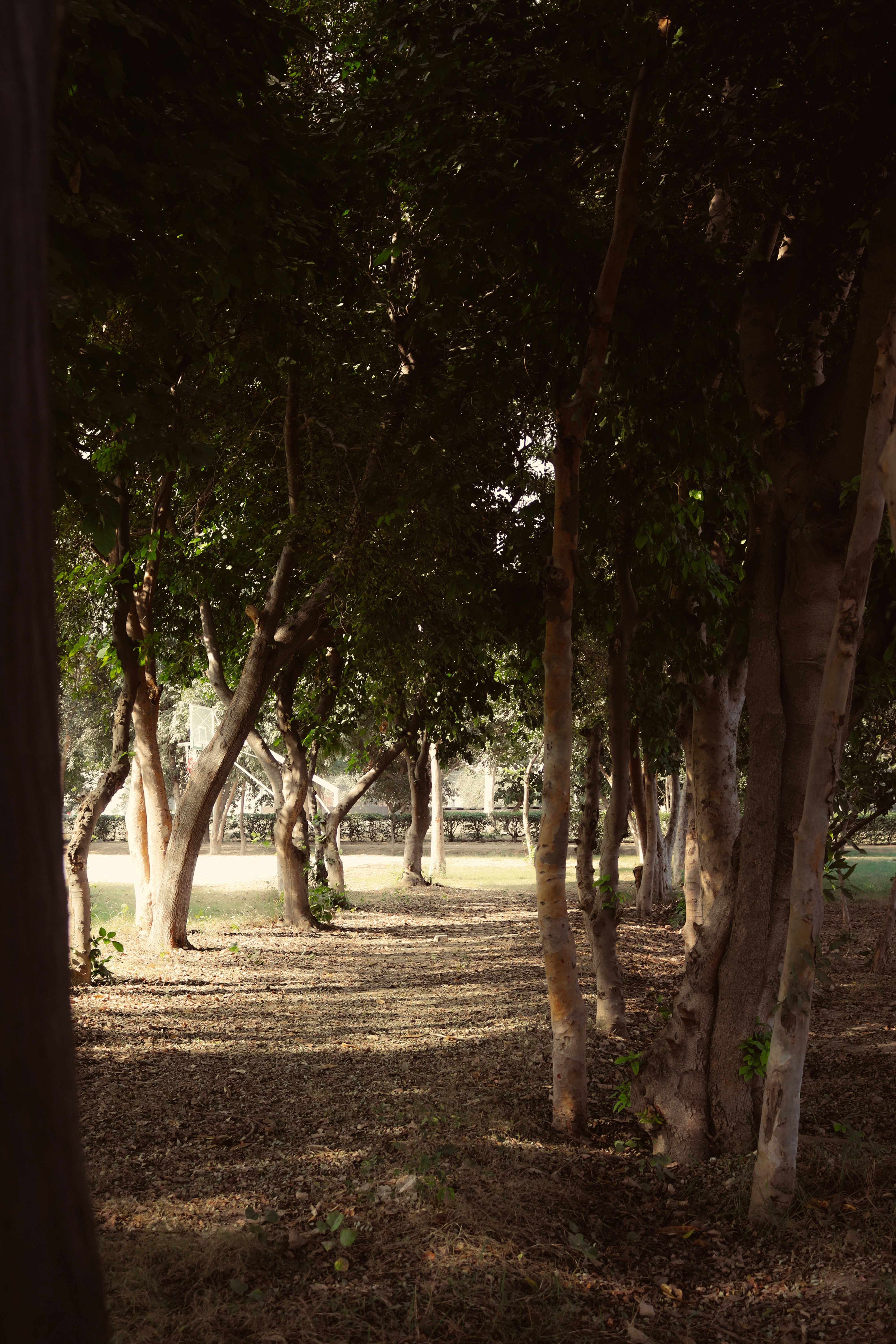 Photo by drphotographer152