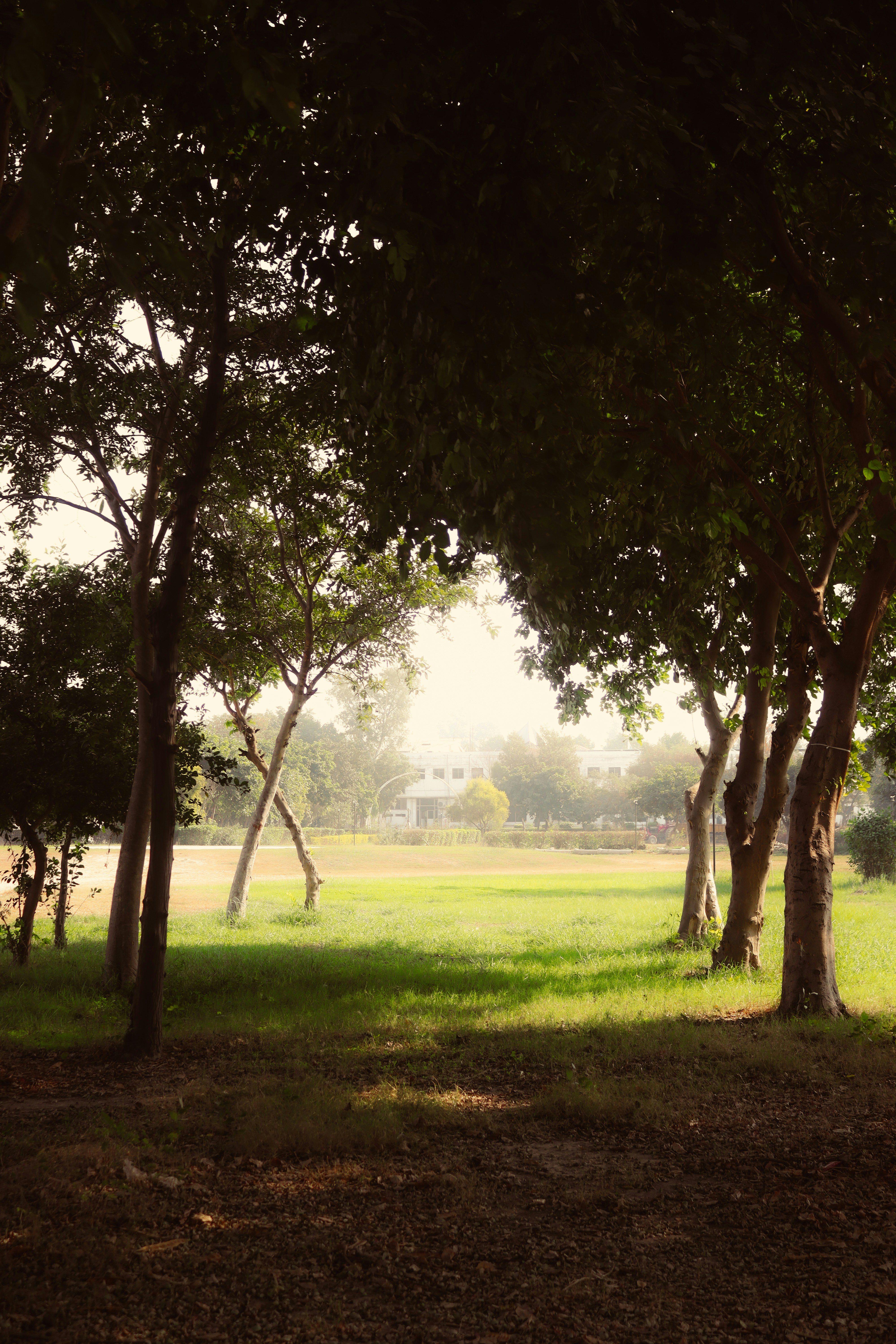 Photo by drphotographer152