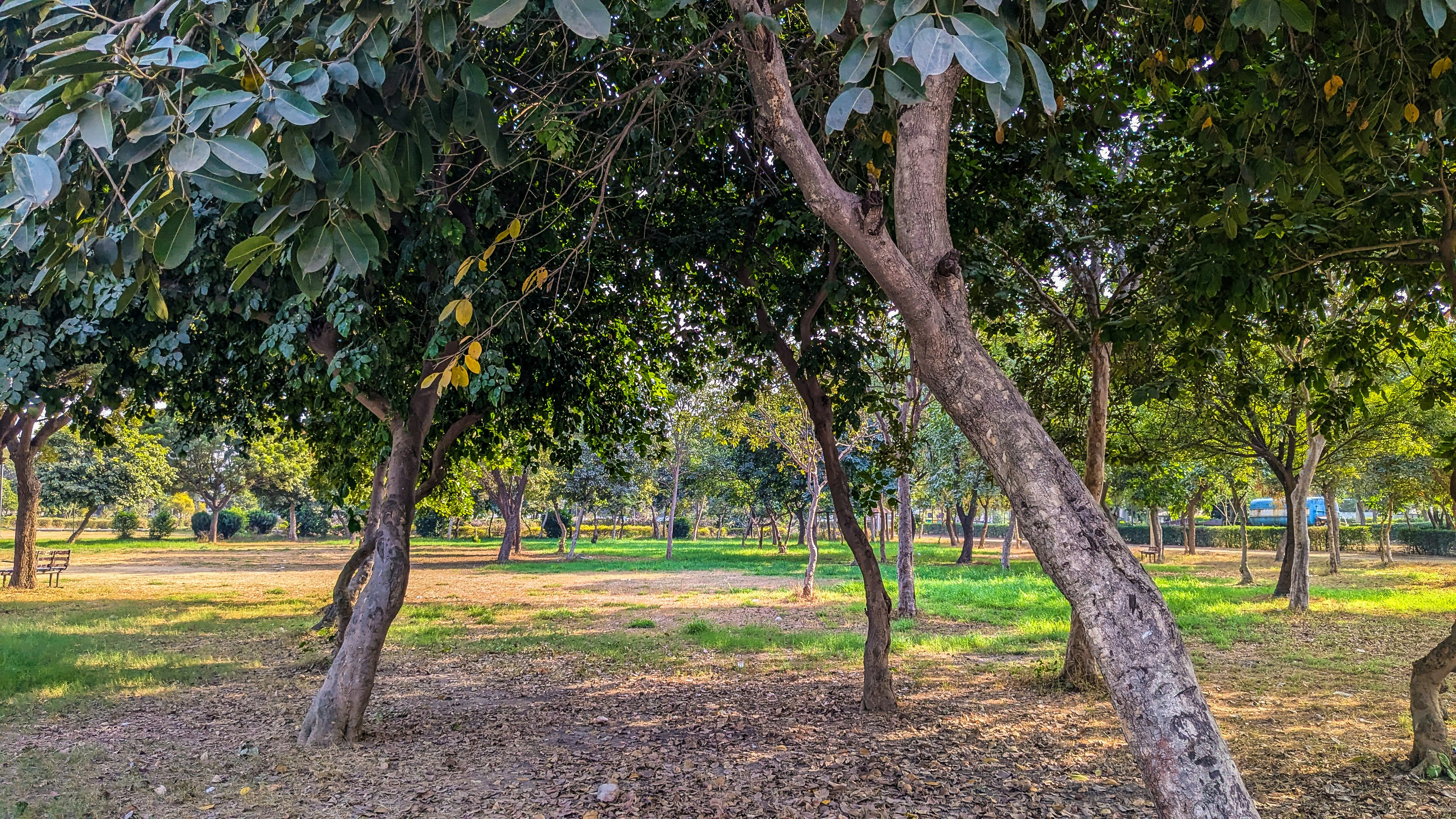 Photo by drphotographer152