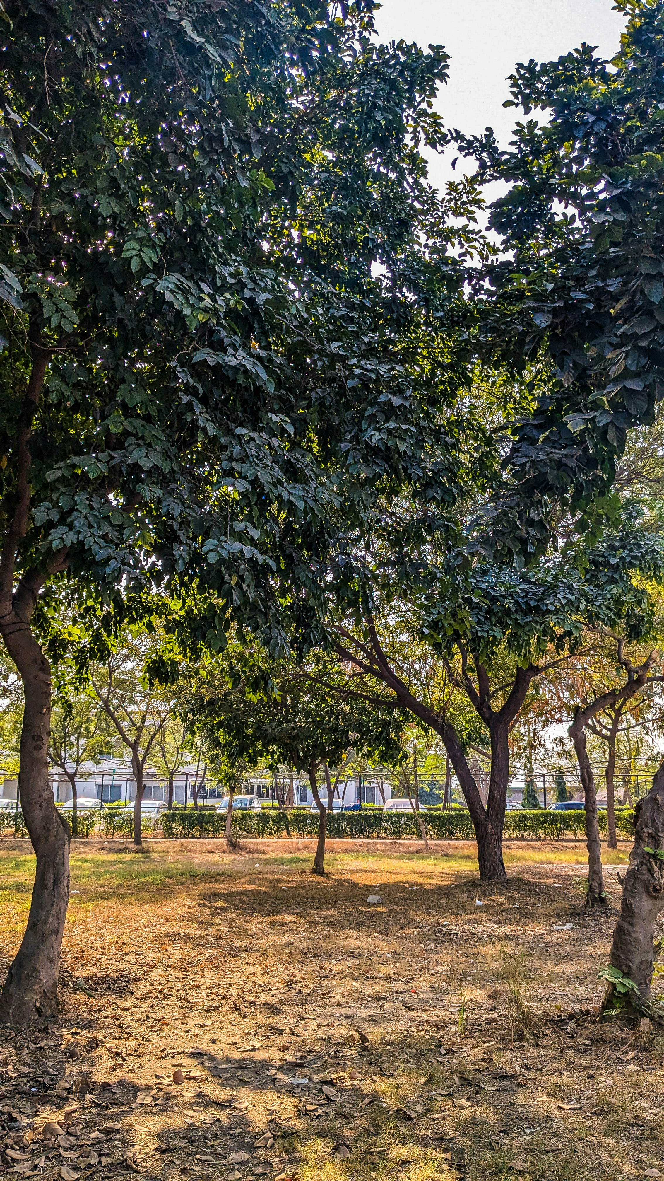 Photo by drphotographer152