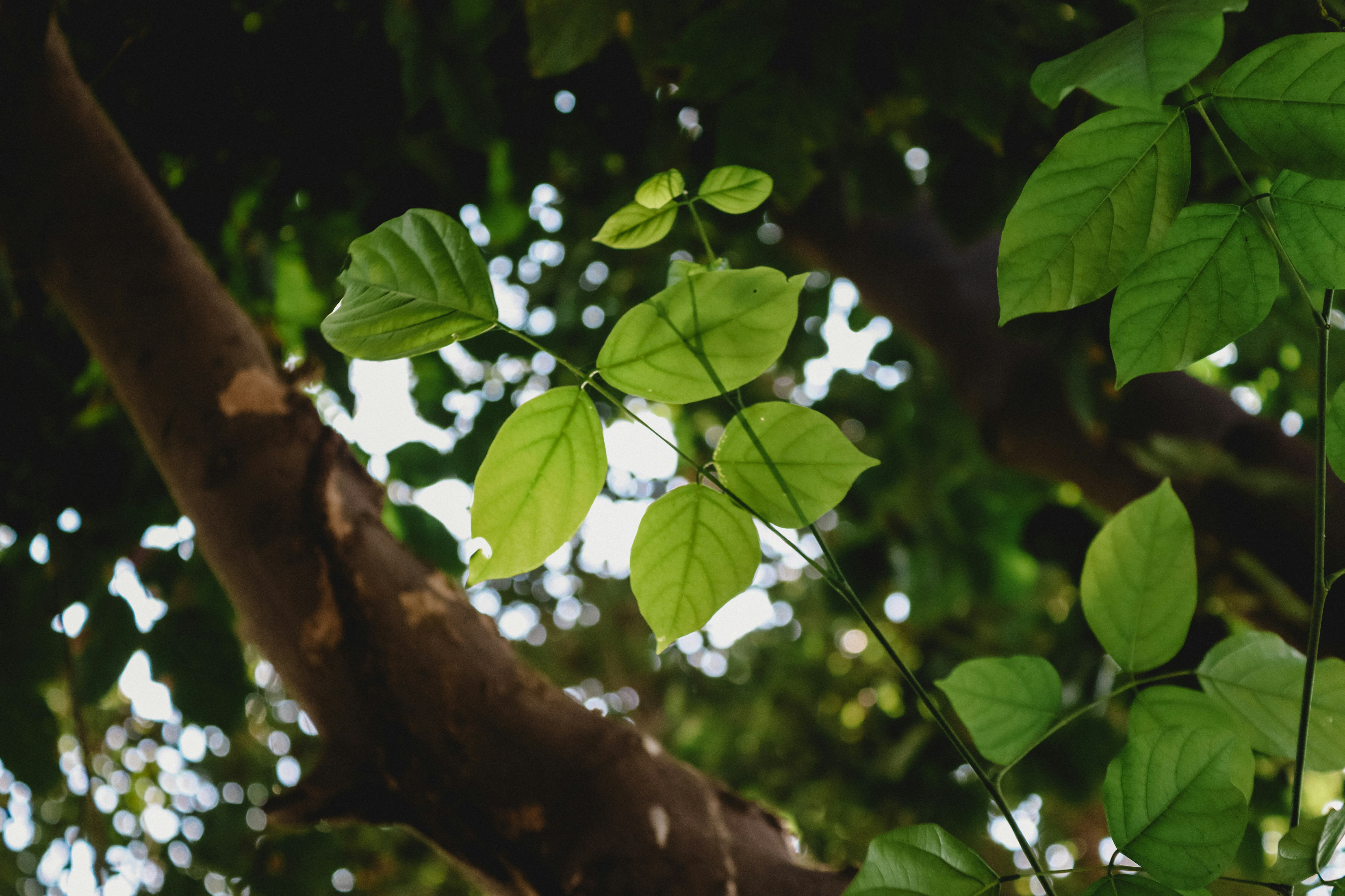 Photo by drphotographer152