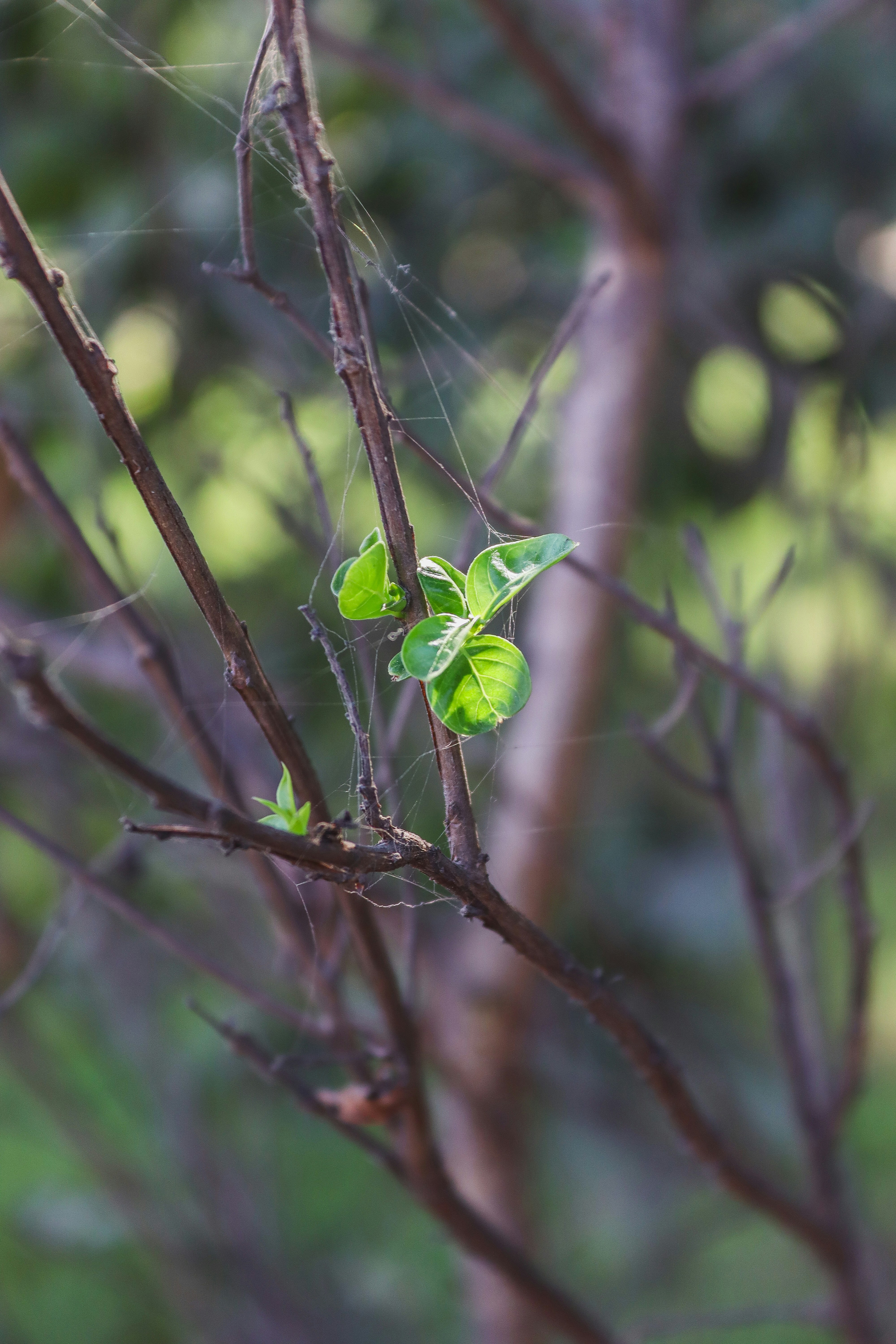 Photo by drphotographer152