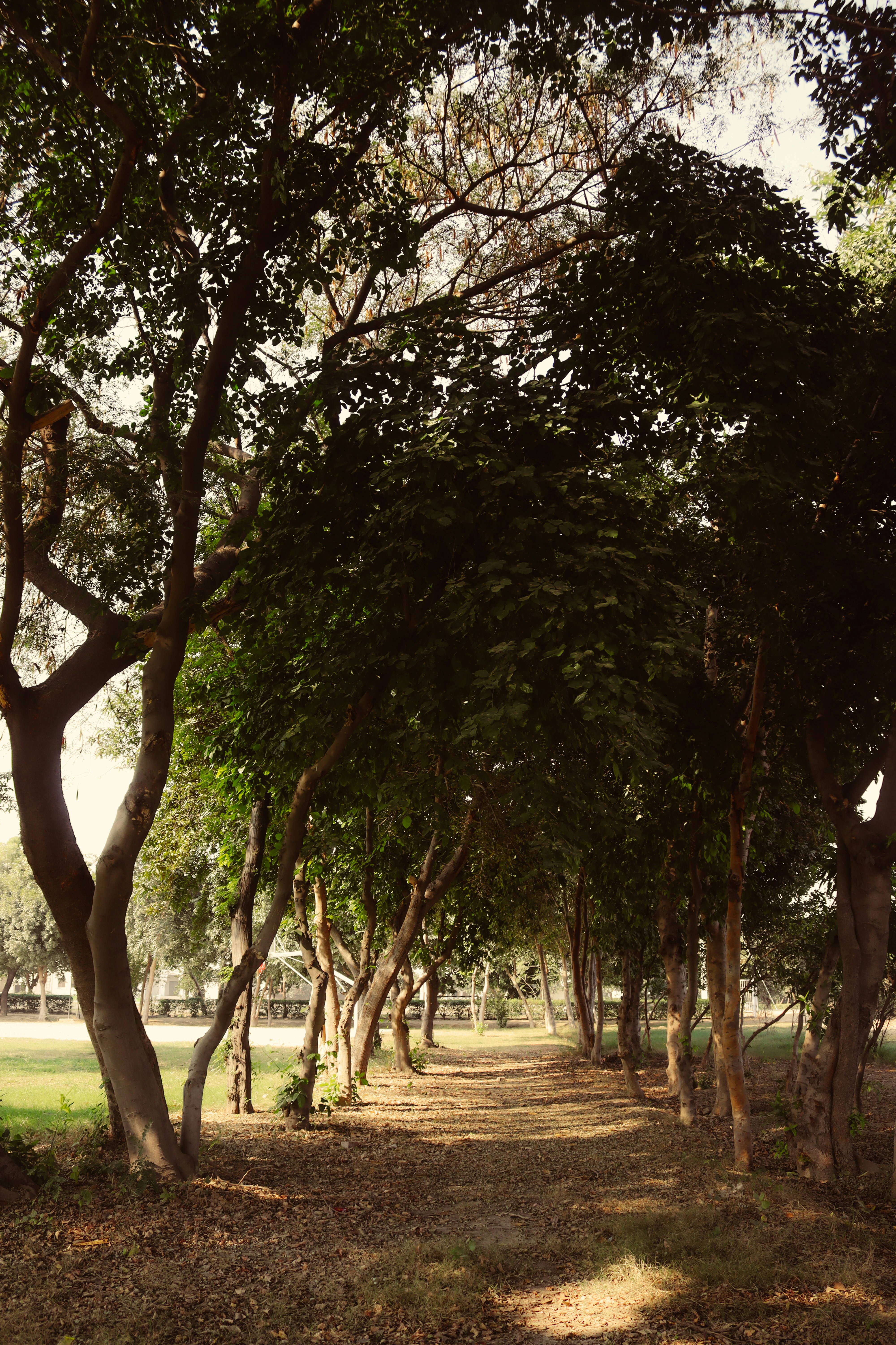 Photo by drphotographer152