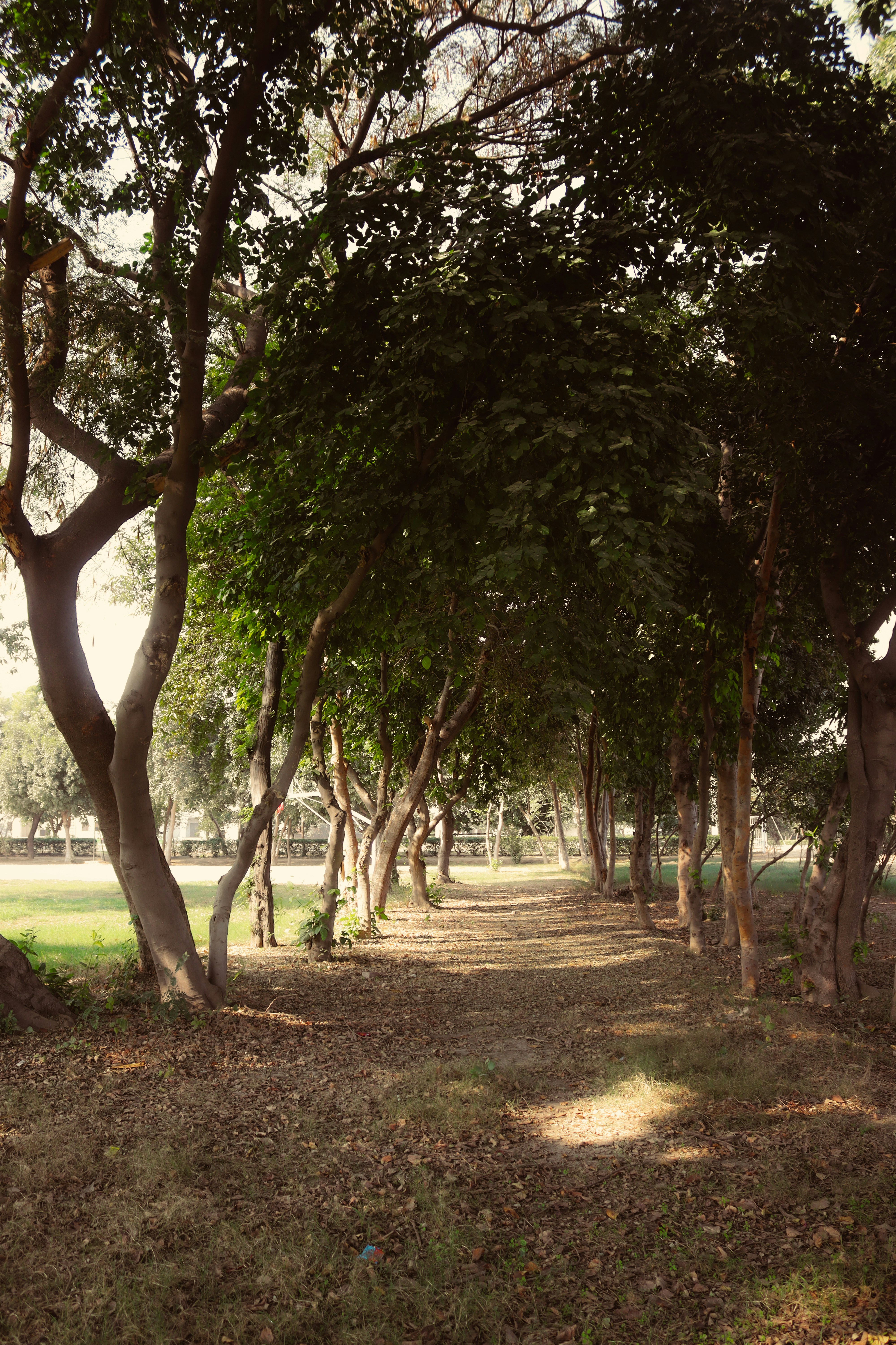 Photo by drphotographer152