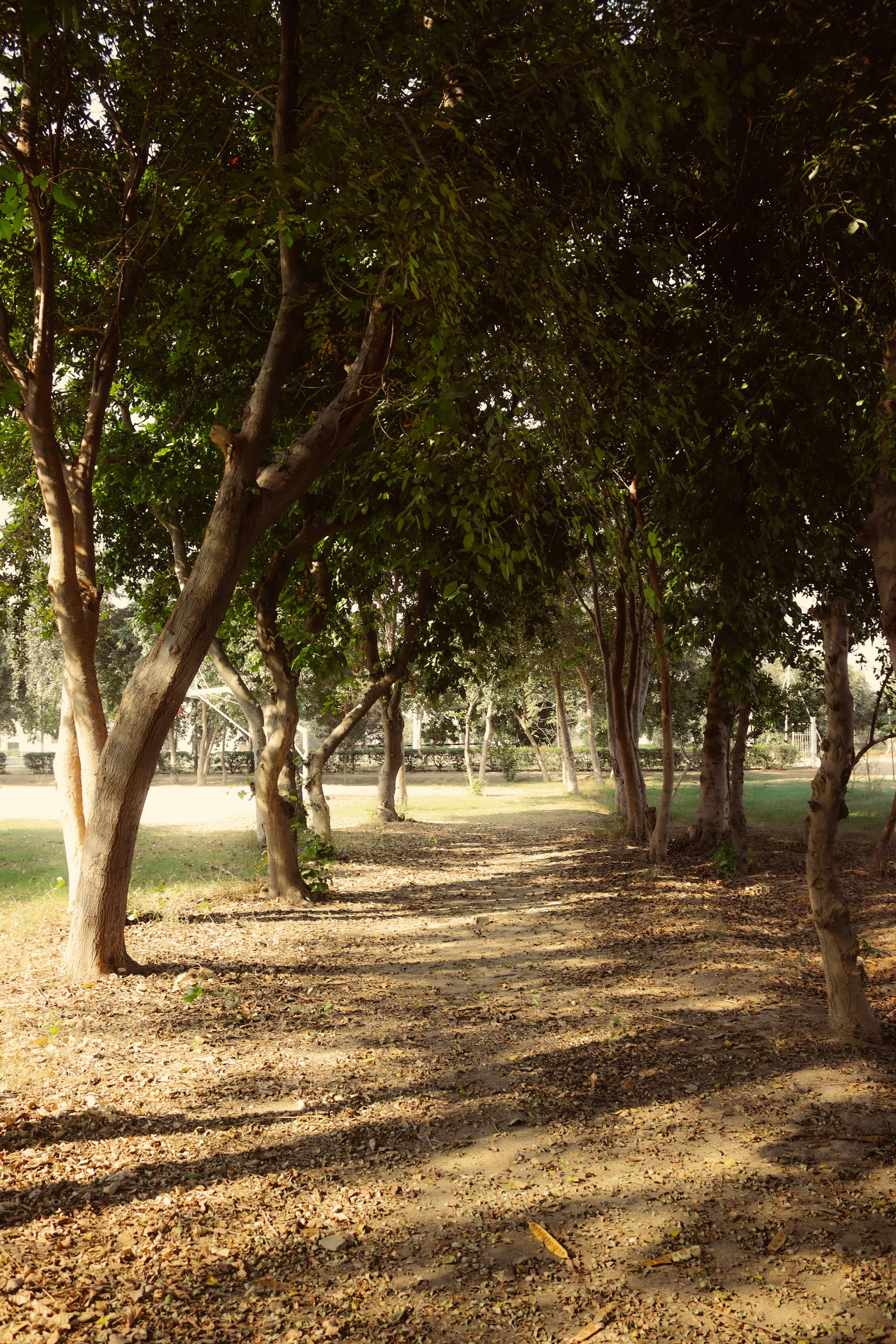 Photo by drphotographer152