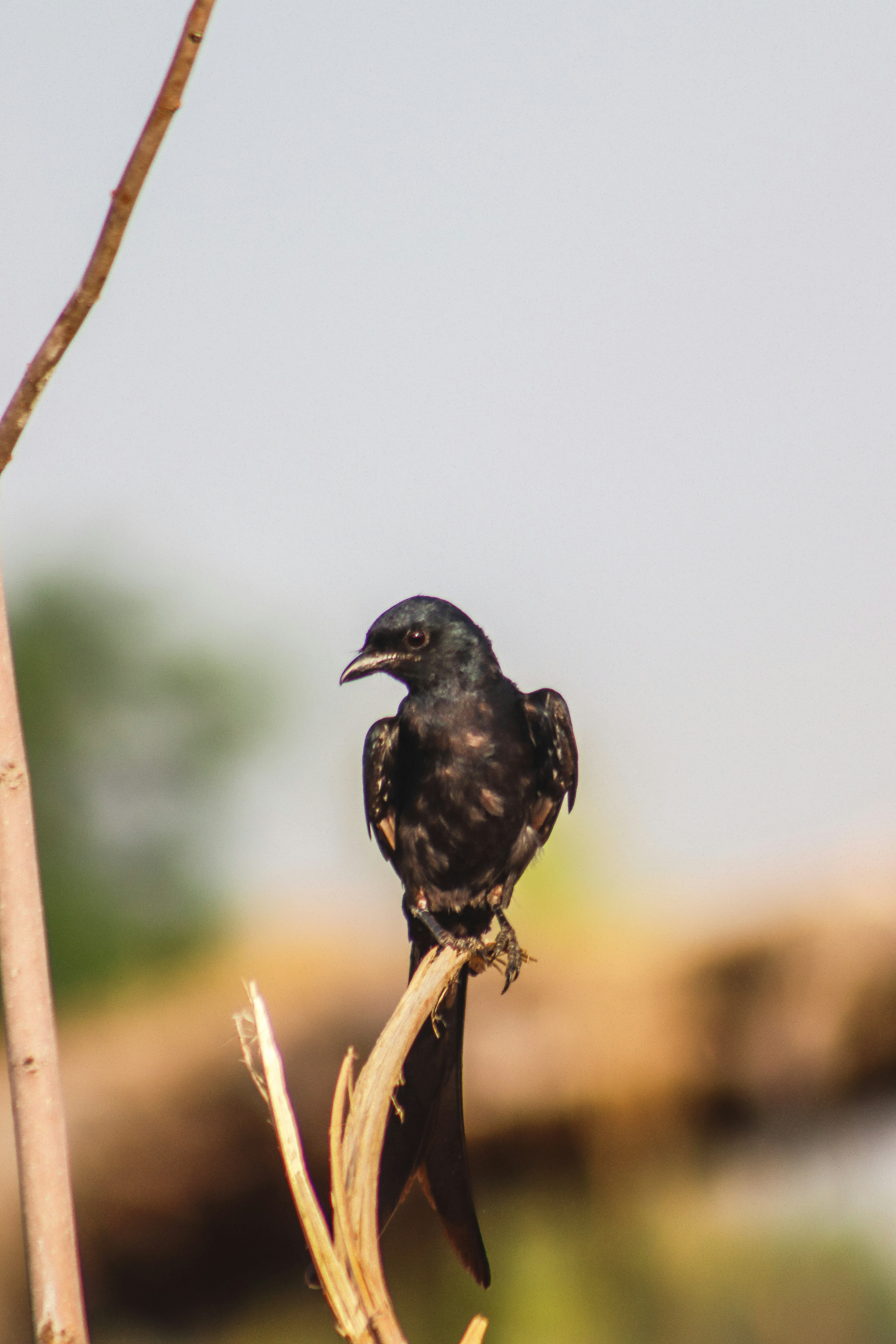 Photo by drphotographer152