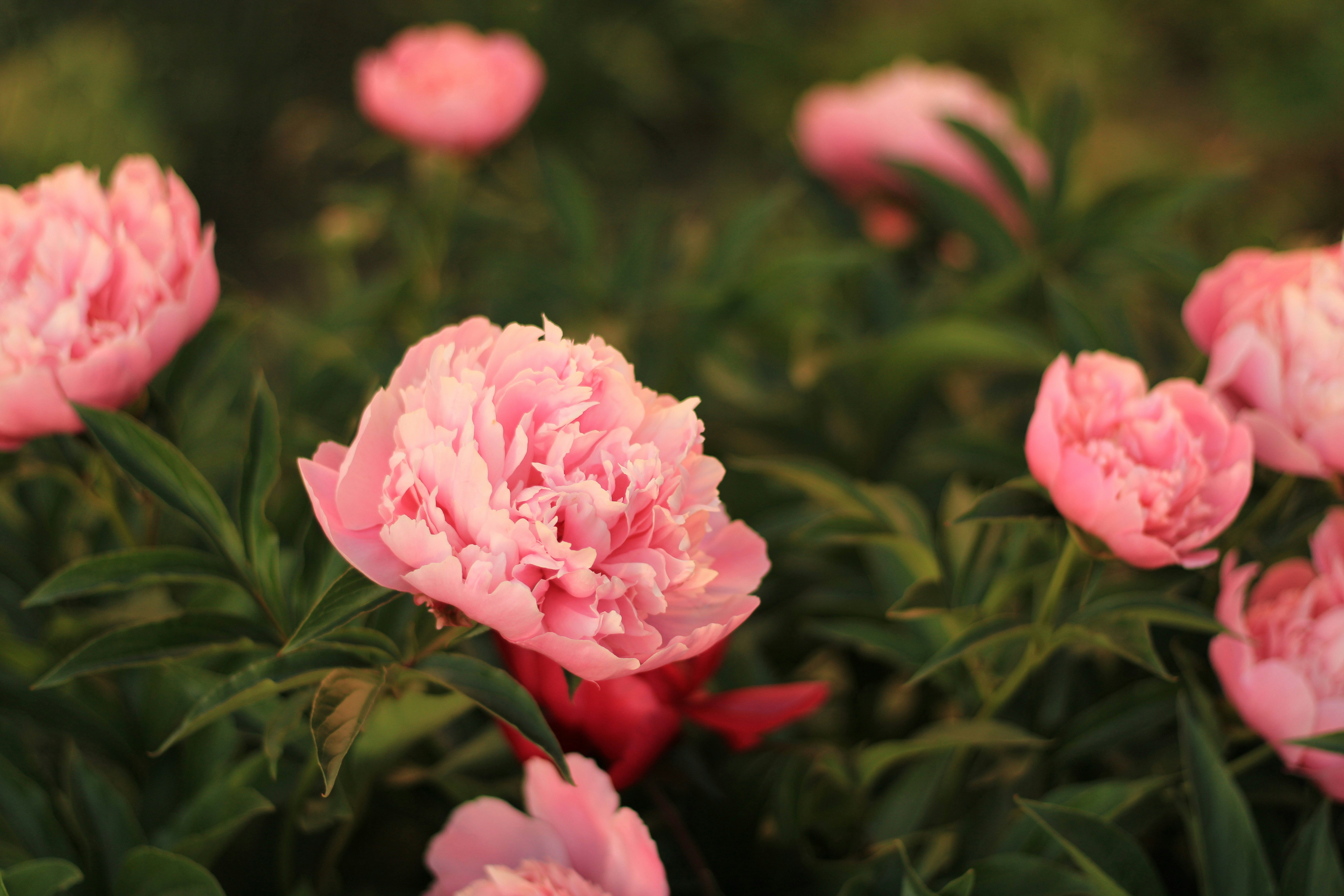 Photo by mineral_of_demon