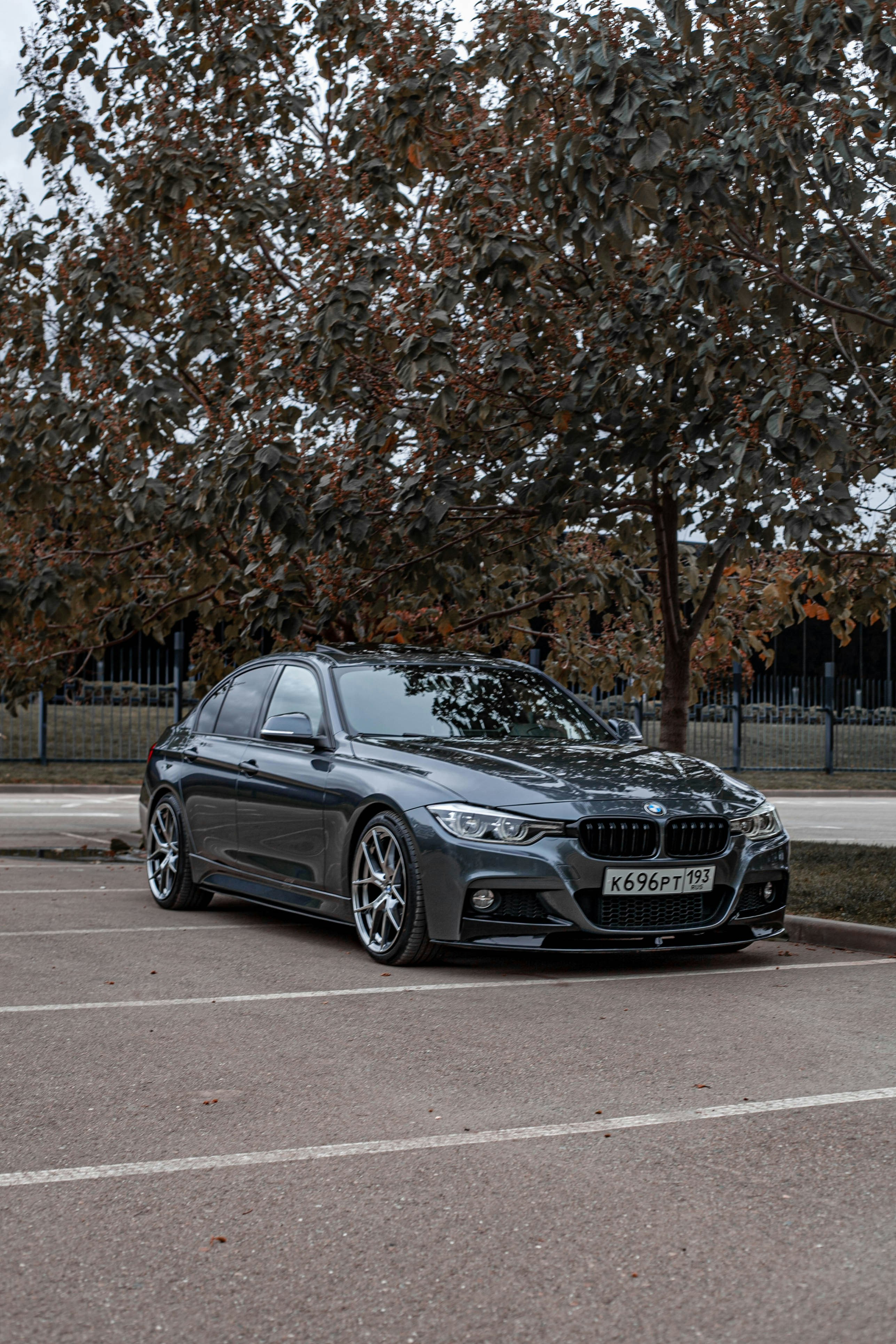 Photo by alexandr_bendus