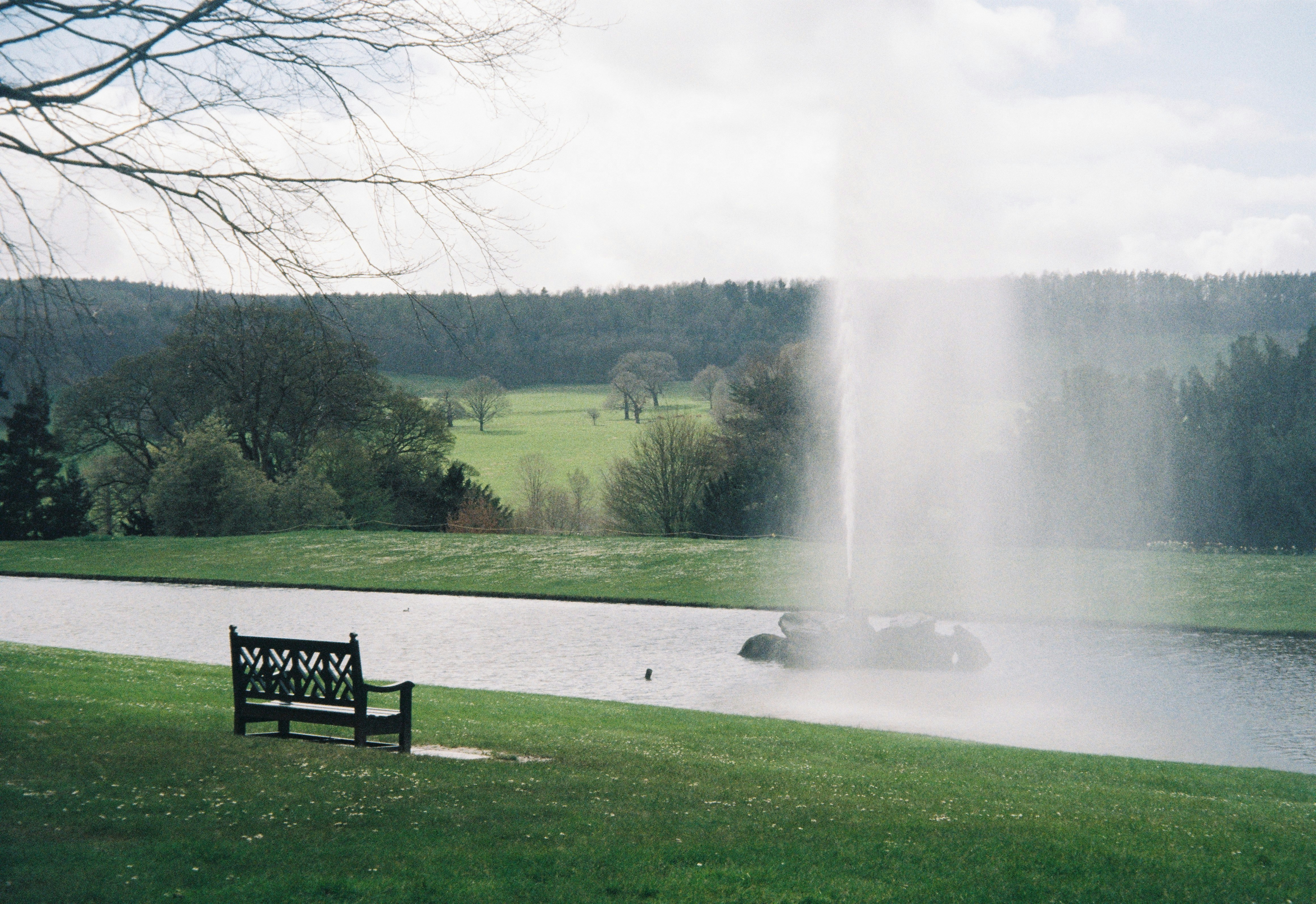 Eine Parkbank am Ufer eines Sees