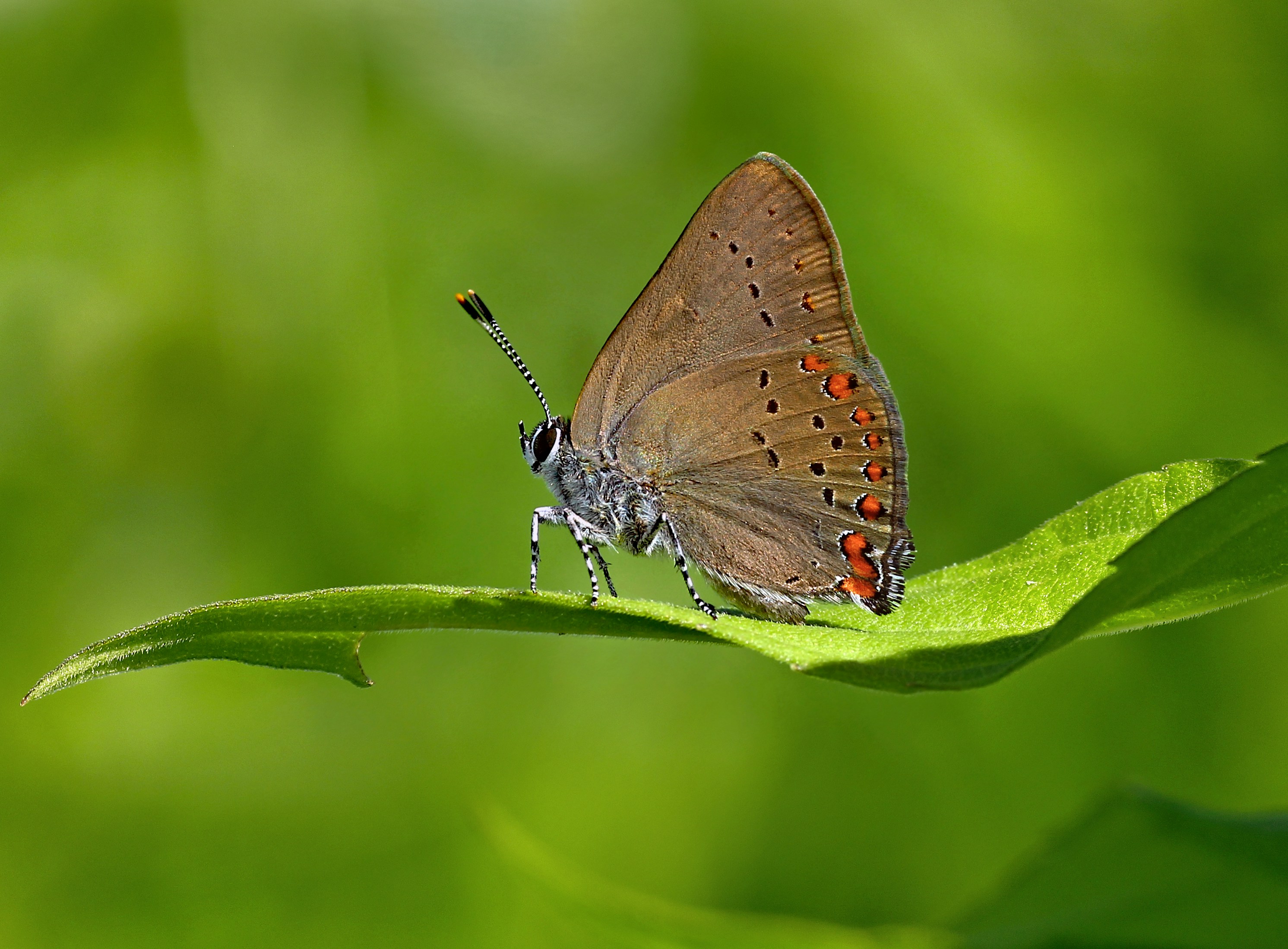 Photo by telliottmbamsc