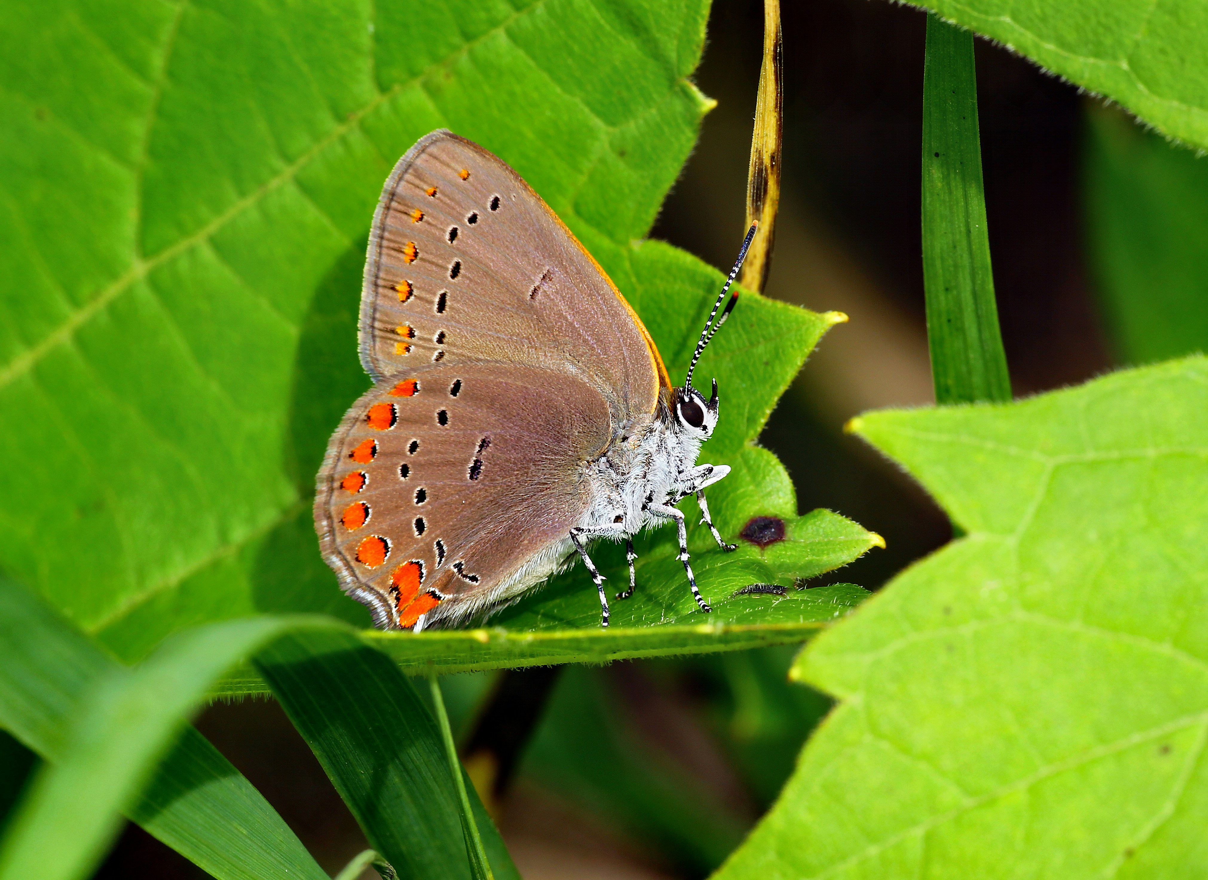 Photo by telliottmbamsc