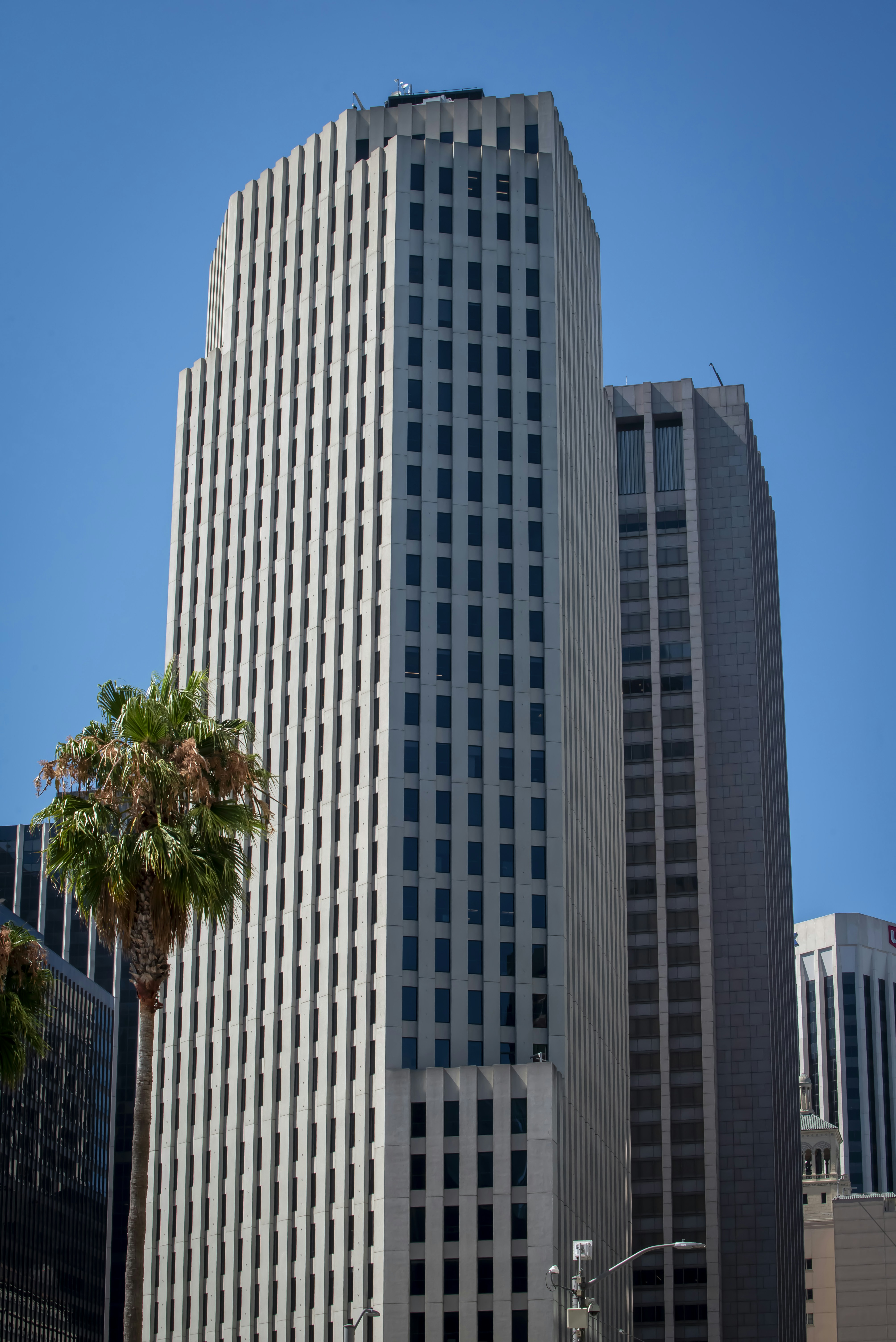 A tall building with a palm tree in front of it