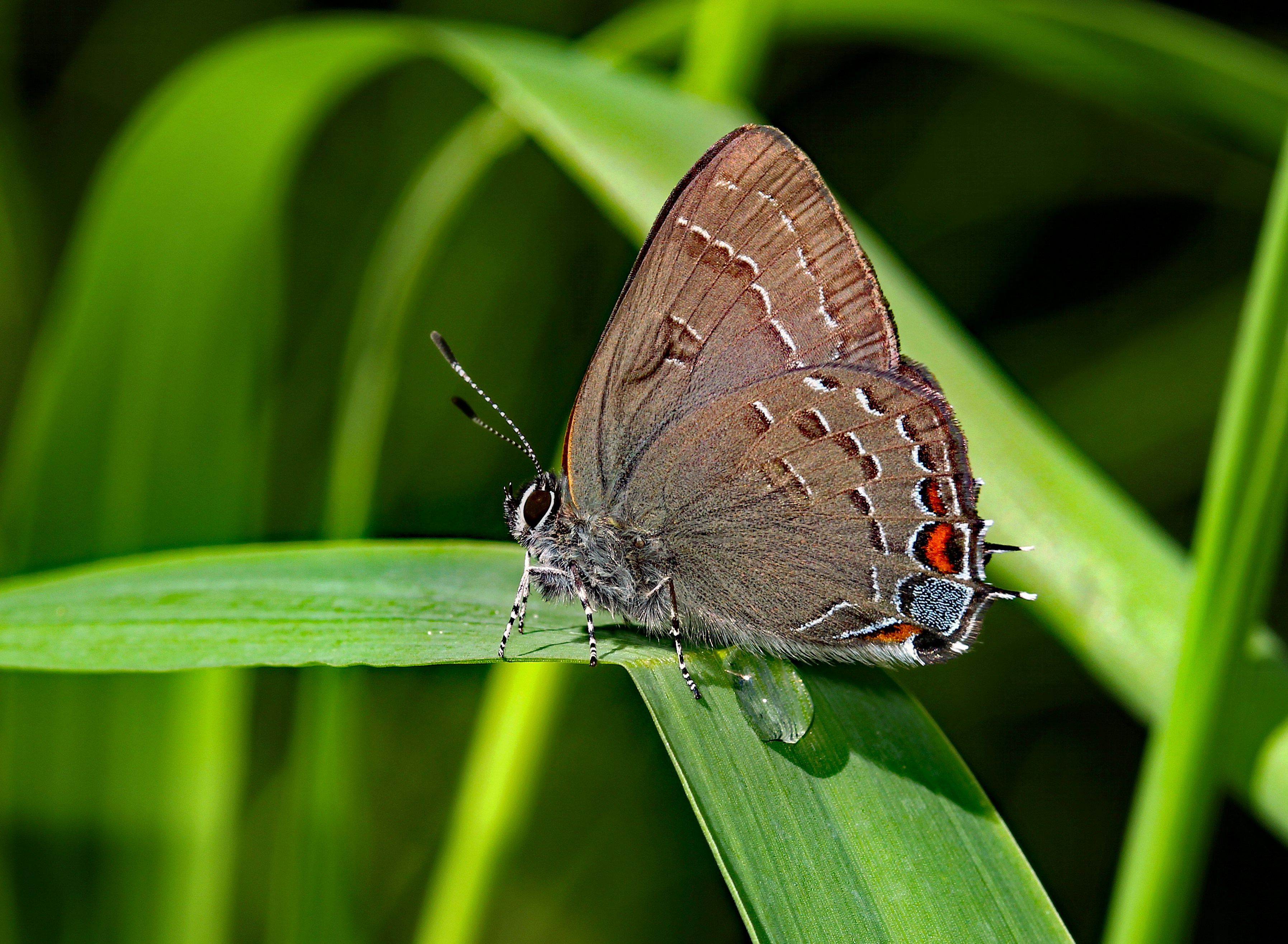 Photo by telliottmbamsc