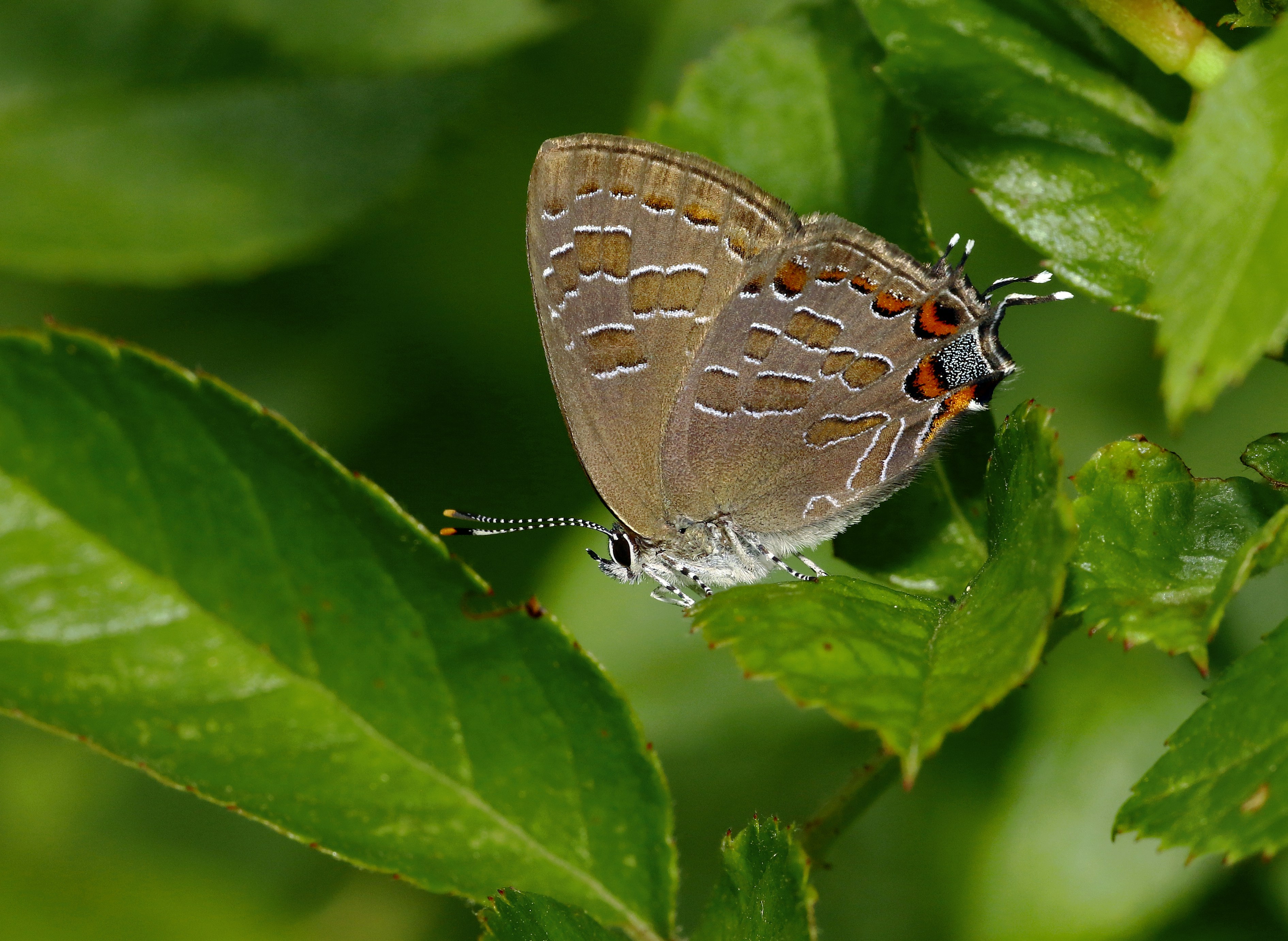 Photo by telliottmbamsc