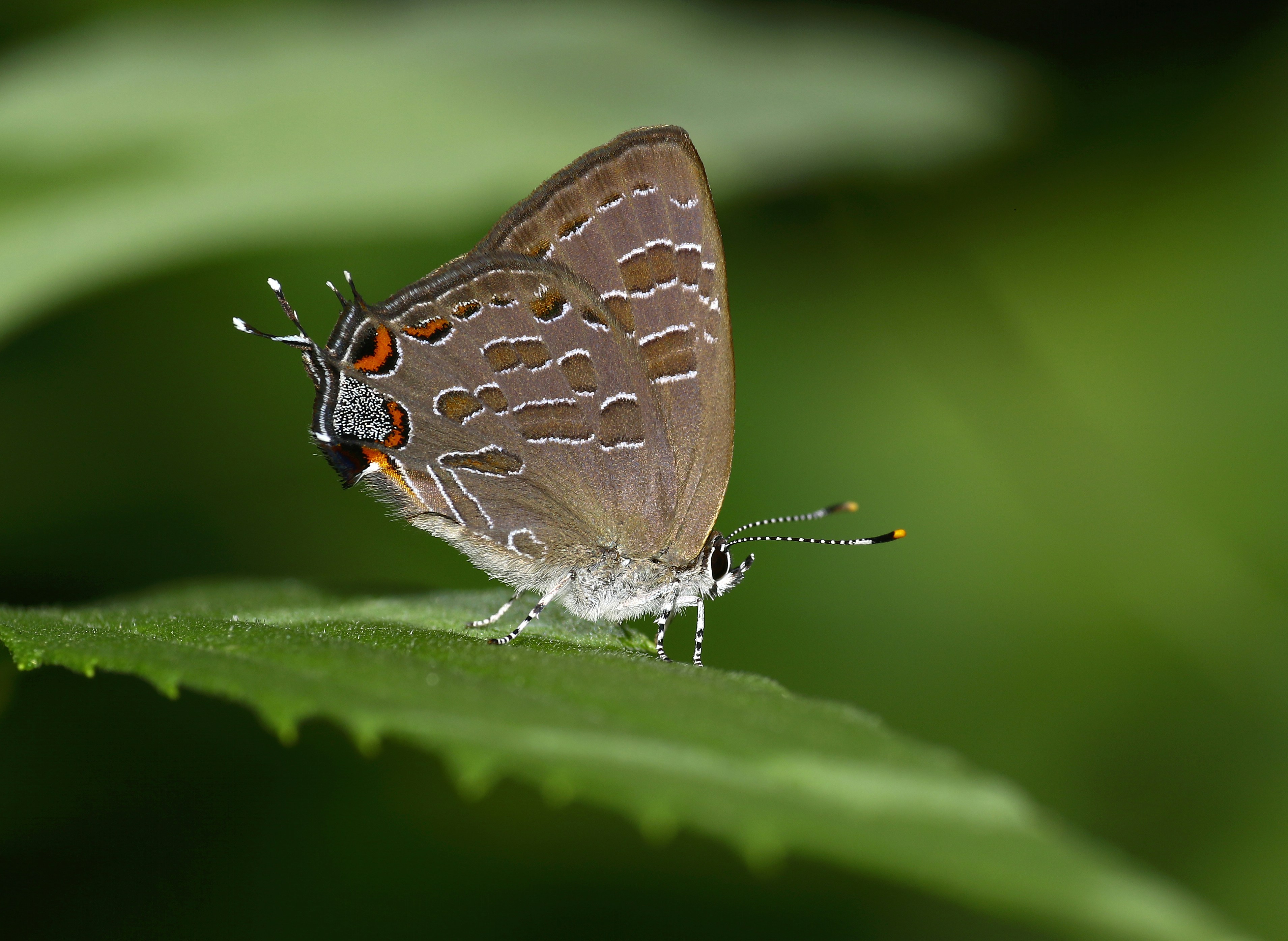 Photo by telliottmbamsc