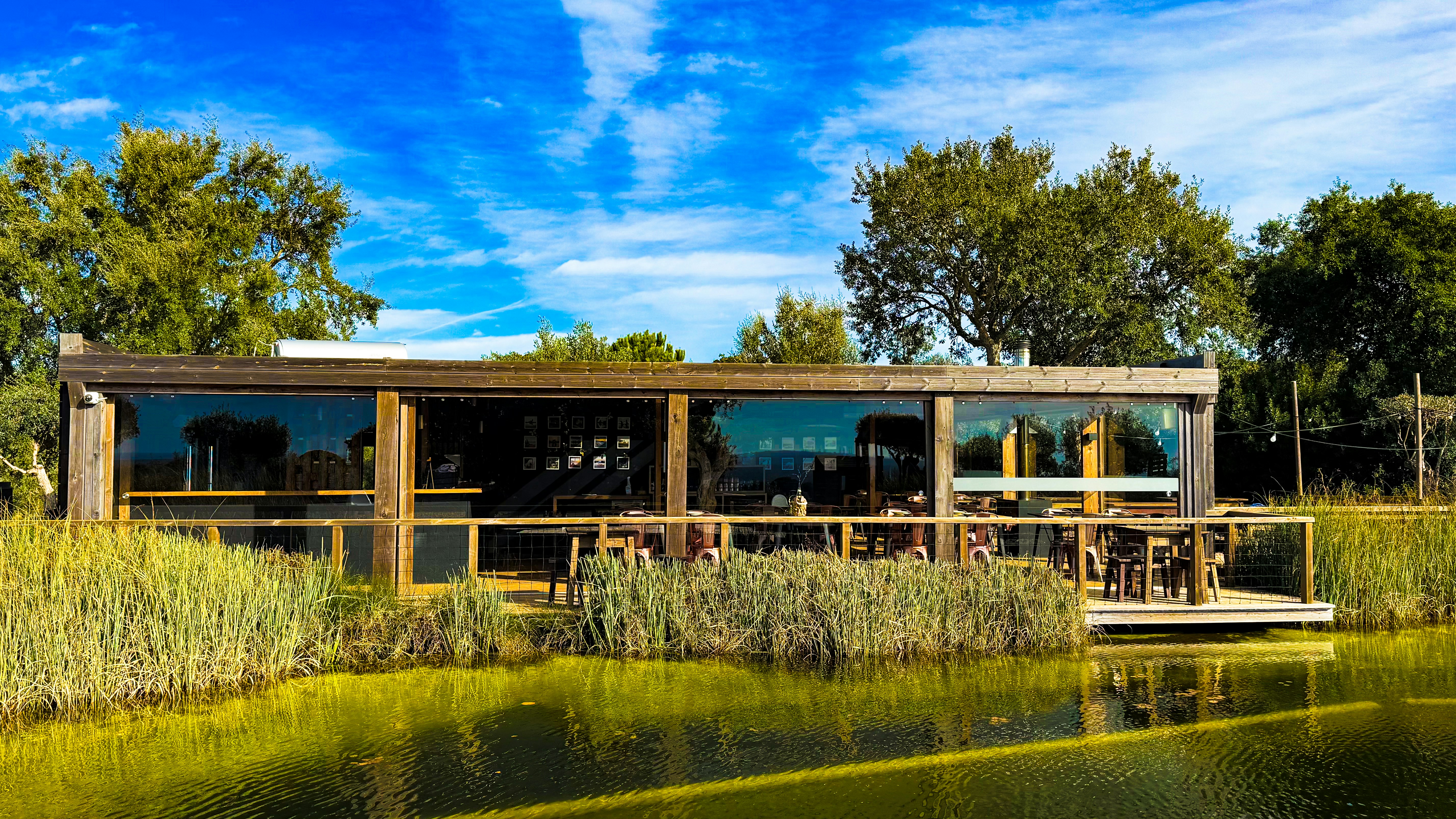 Photo by eddiepipocas