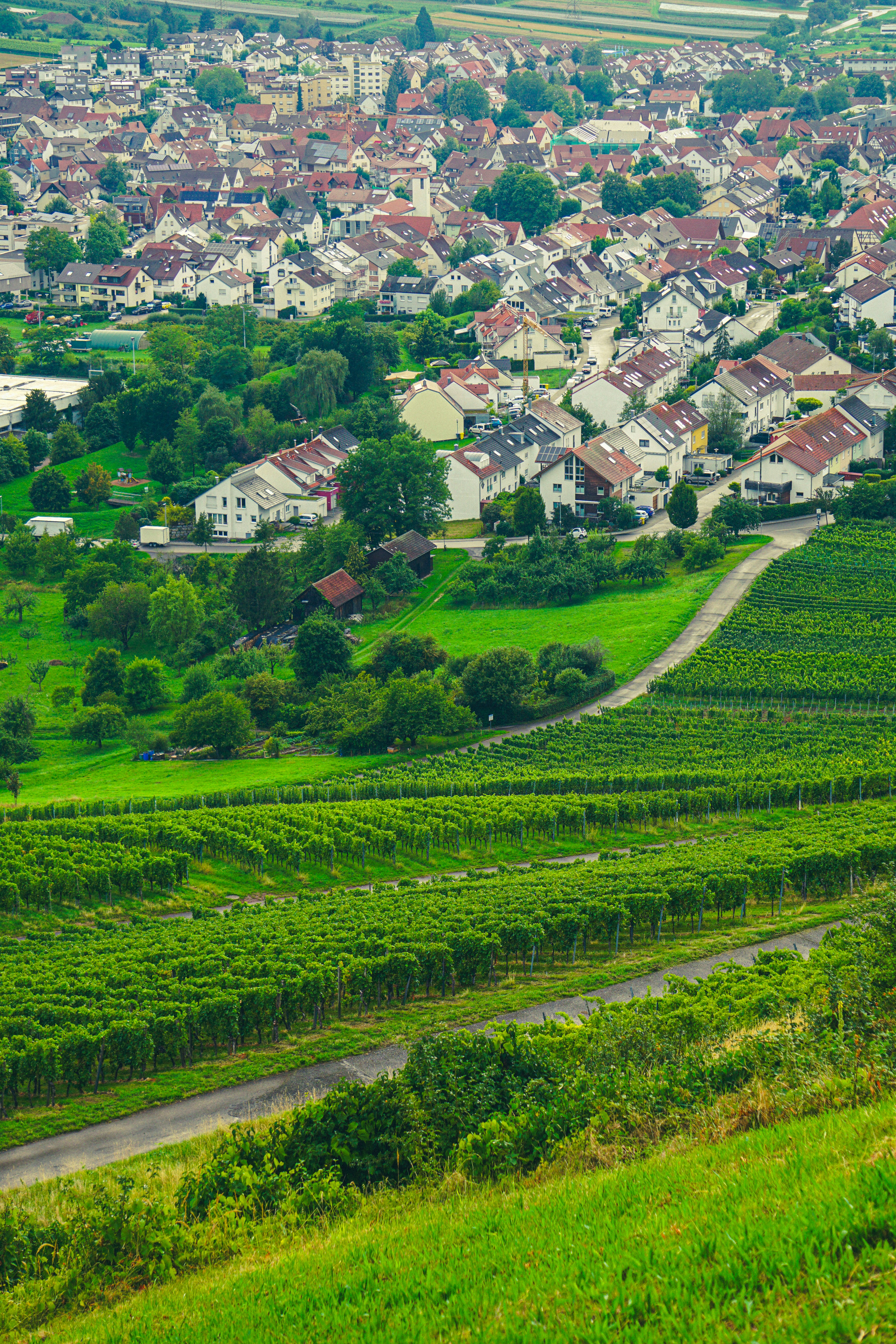 Photo by maheshkumar_painam