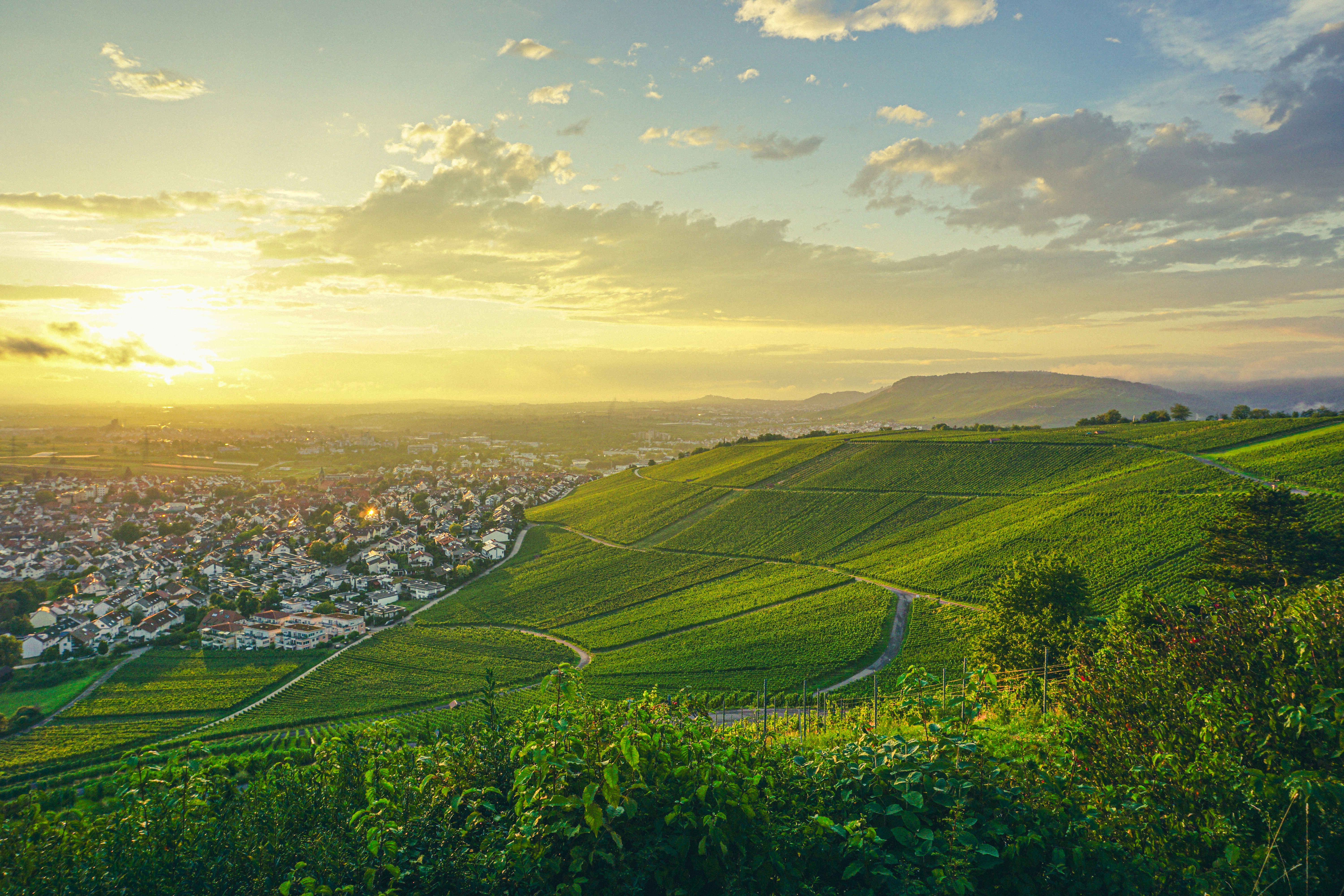 Photo by maheshkumar_painam