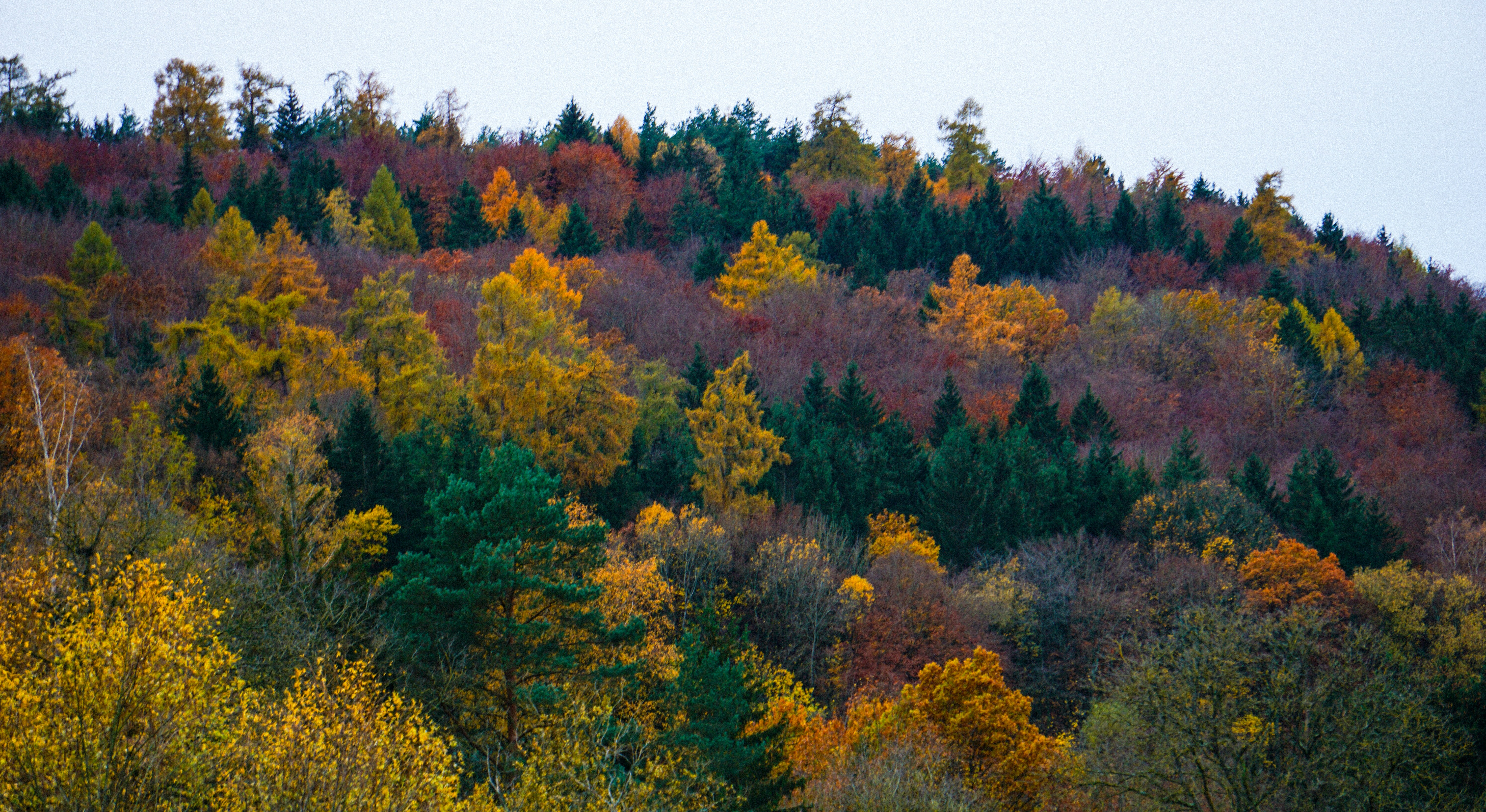 Photo by maheshkumar_painam