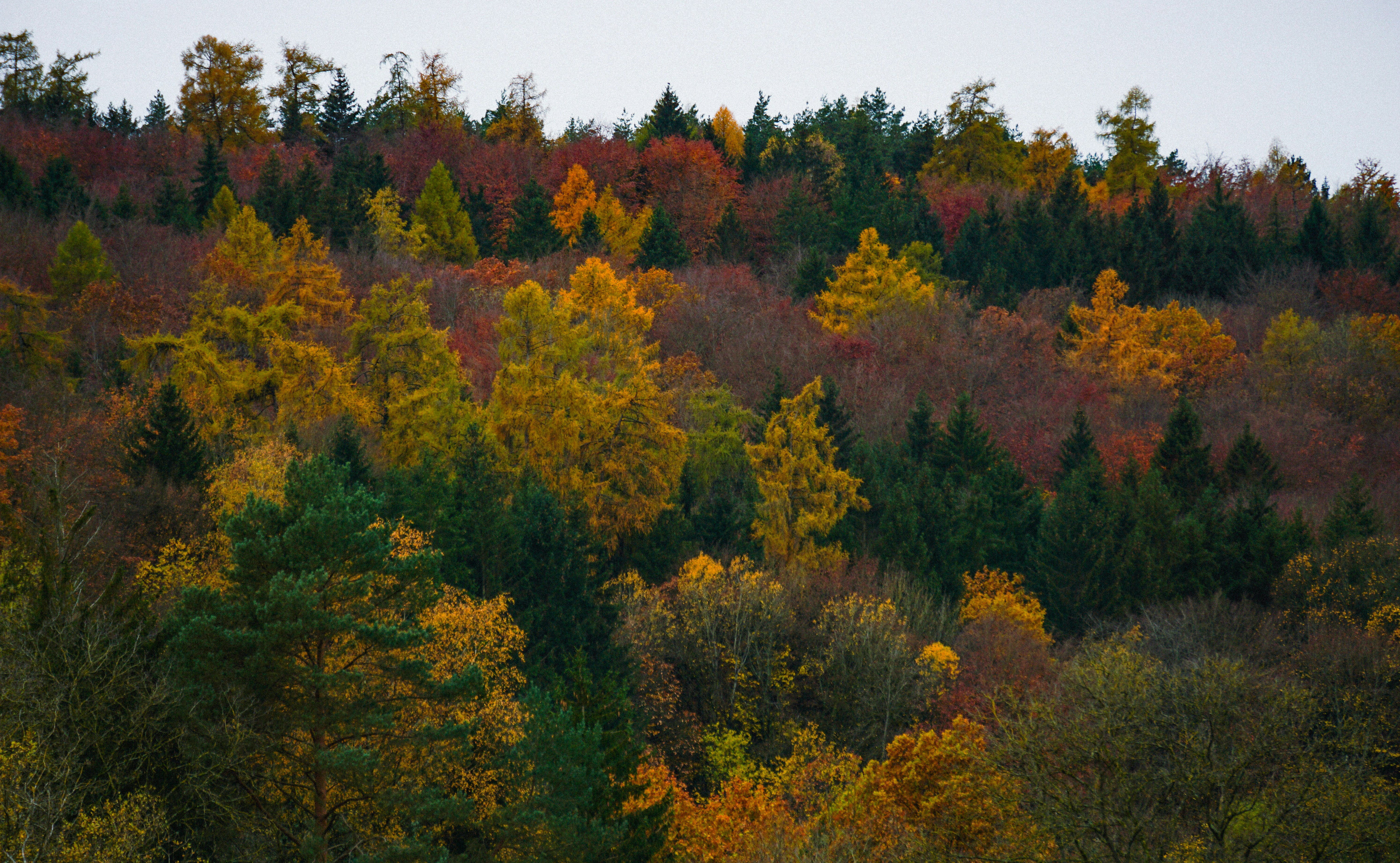 Photo by maheshkumar_painam