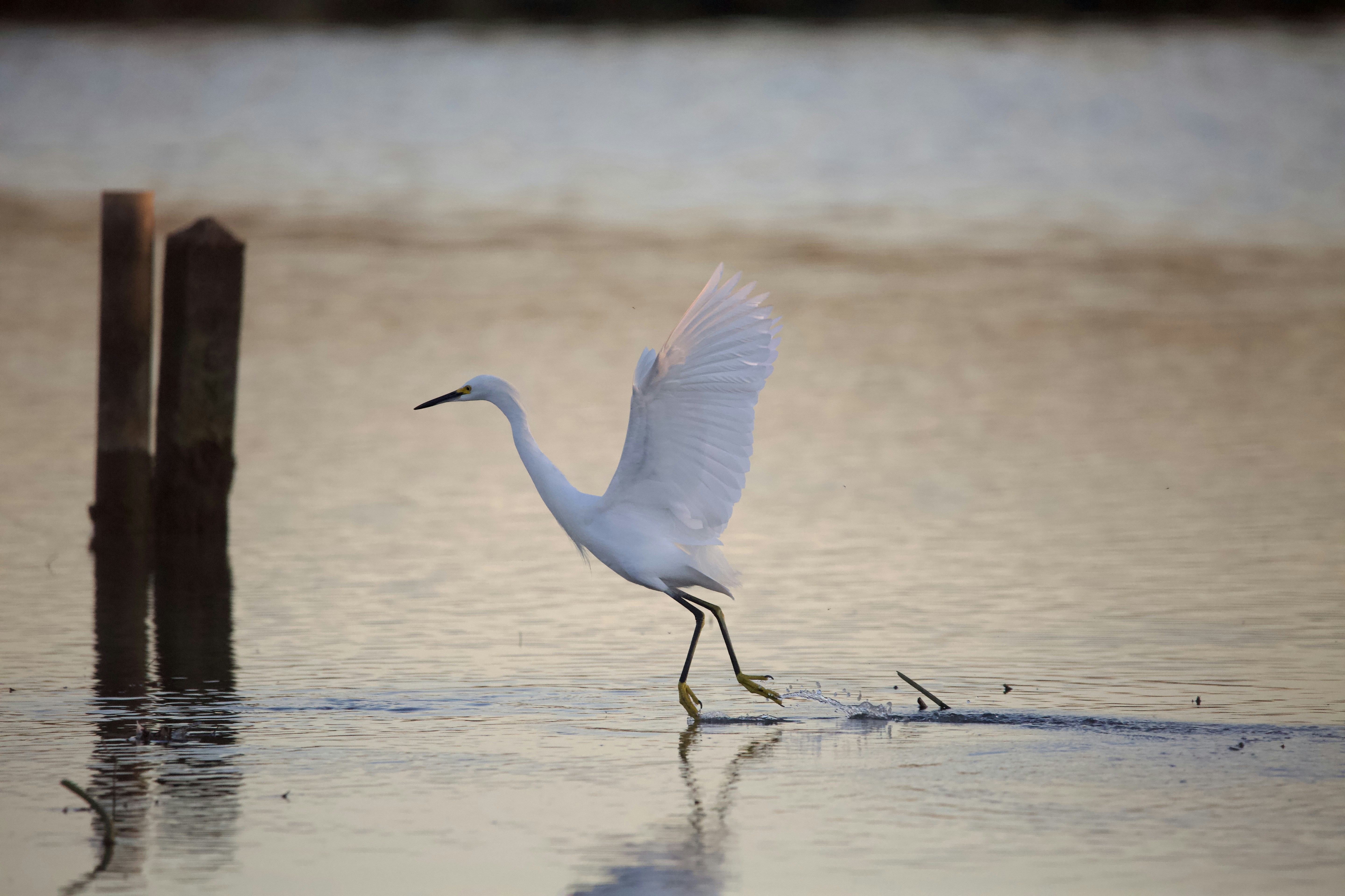 Photo by michaelmuldrow