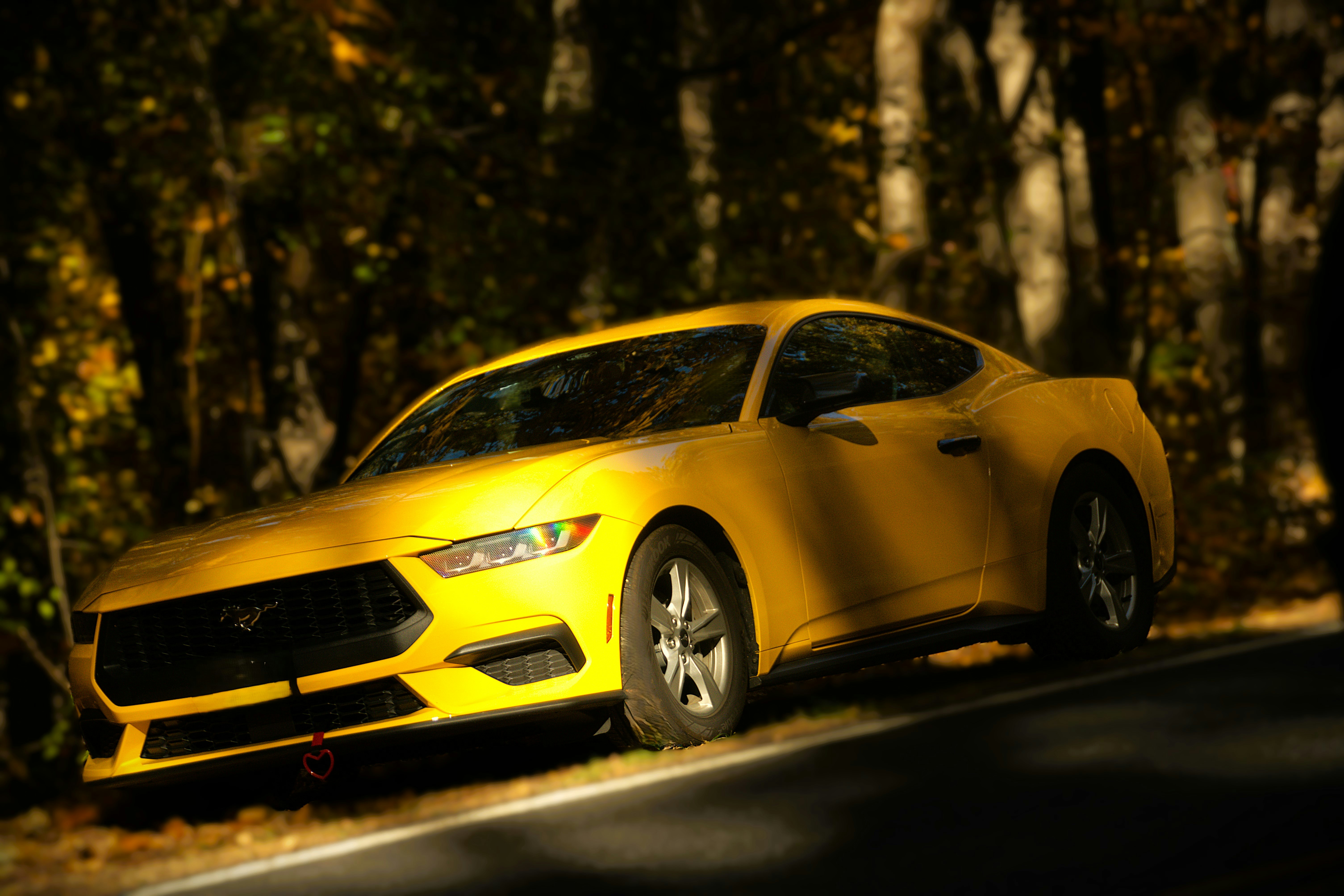 Photo by akshatjisme