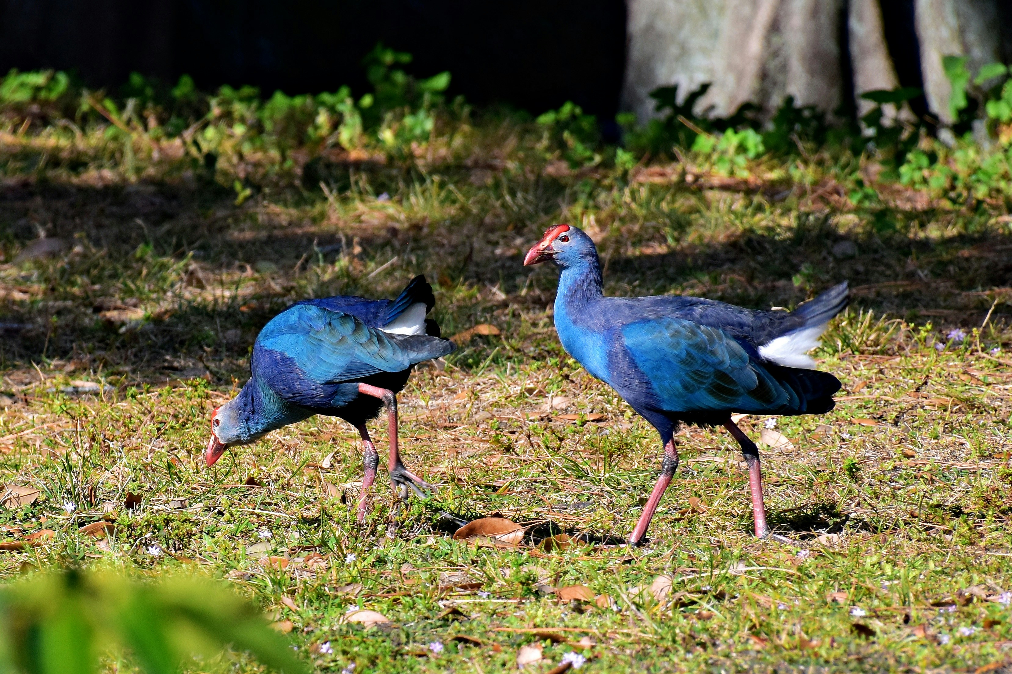 Photo by jeisen