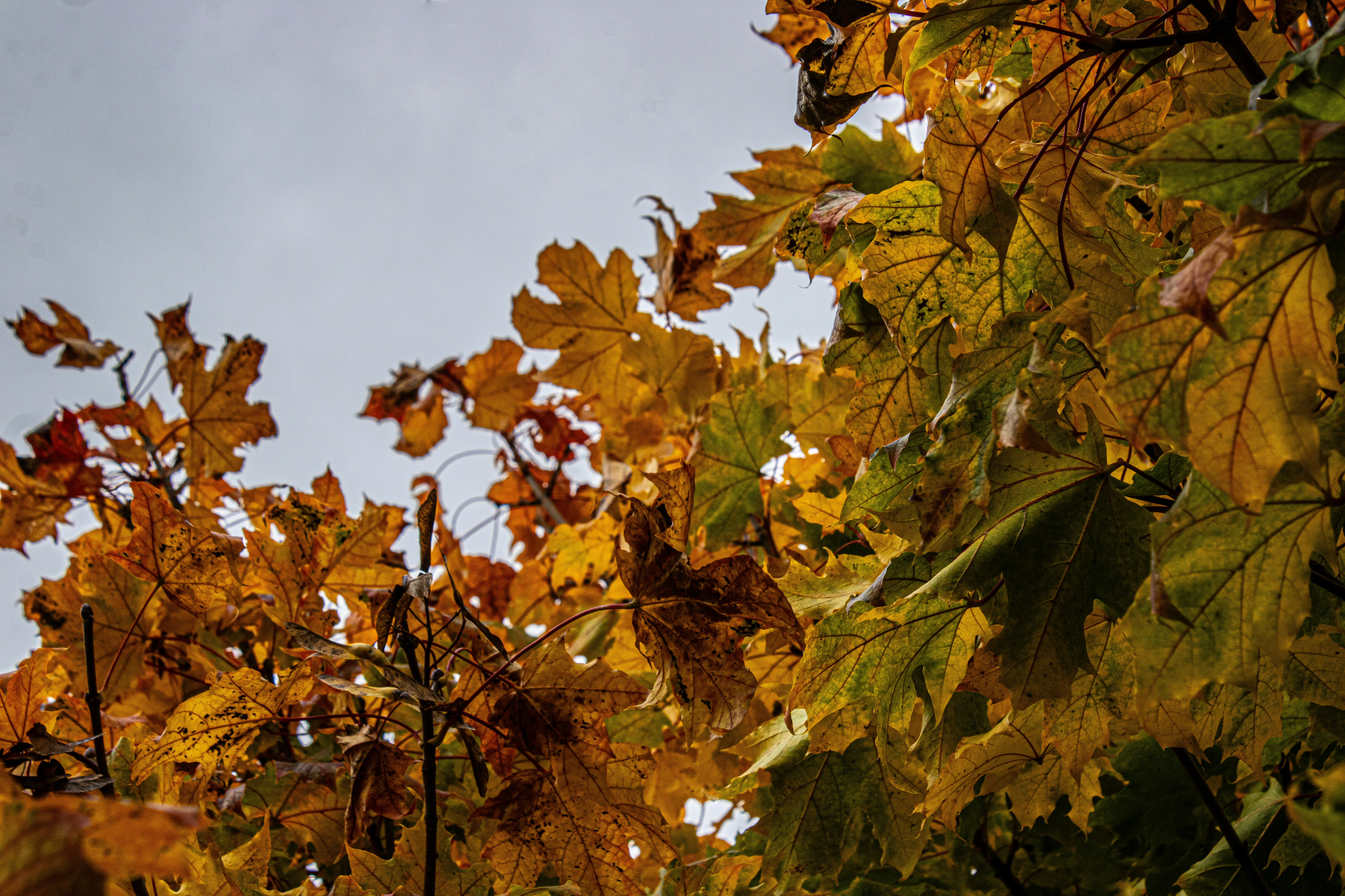 Photo by prphotography262