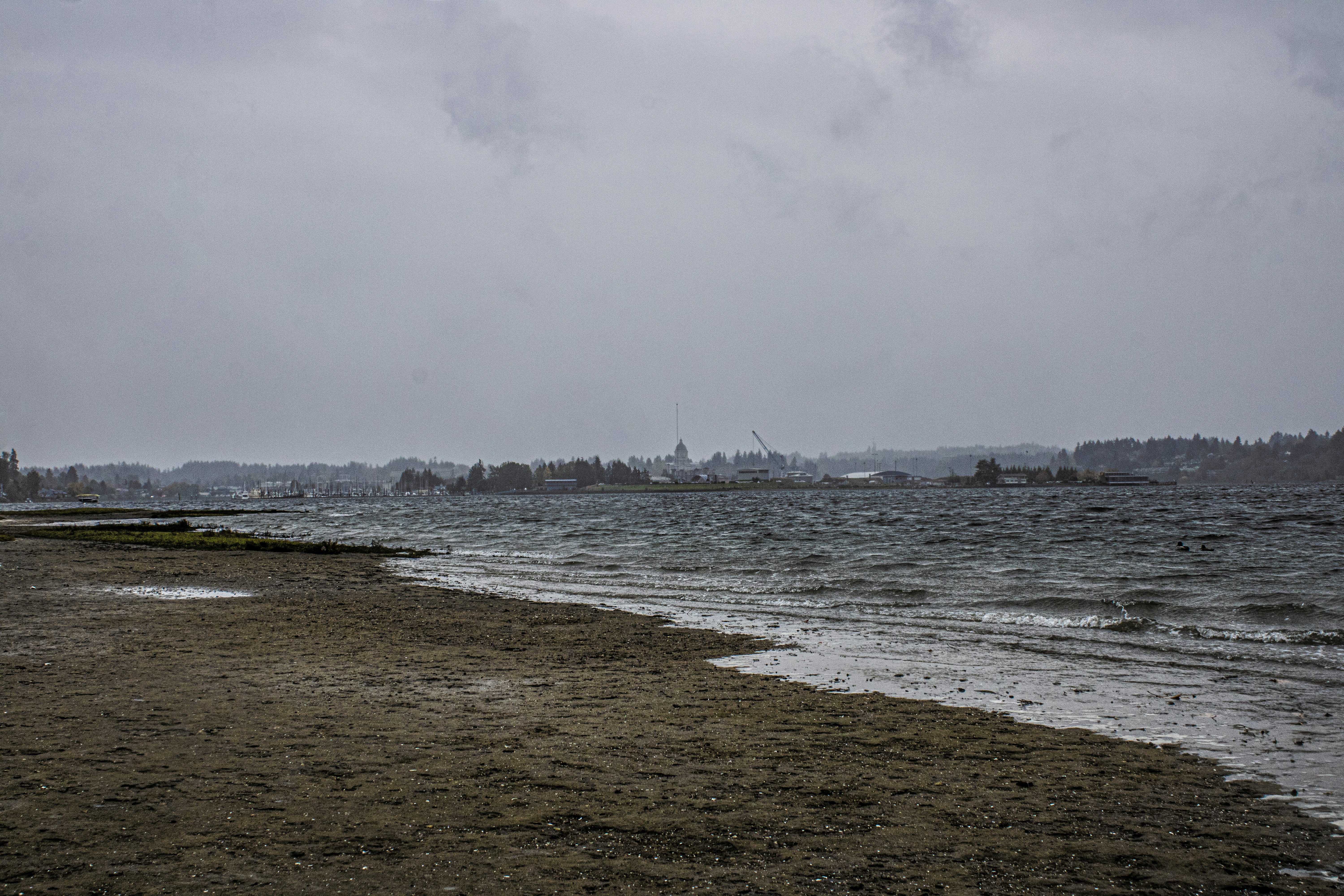 Photo by prphotography262