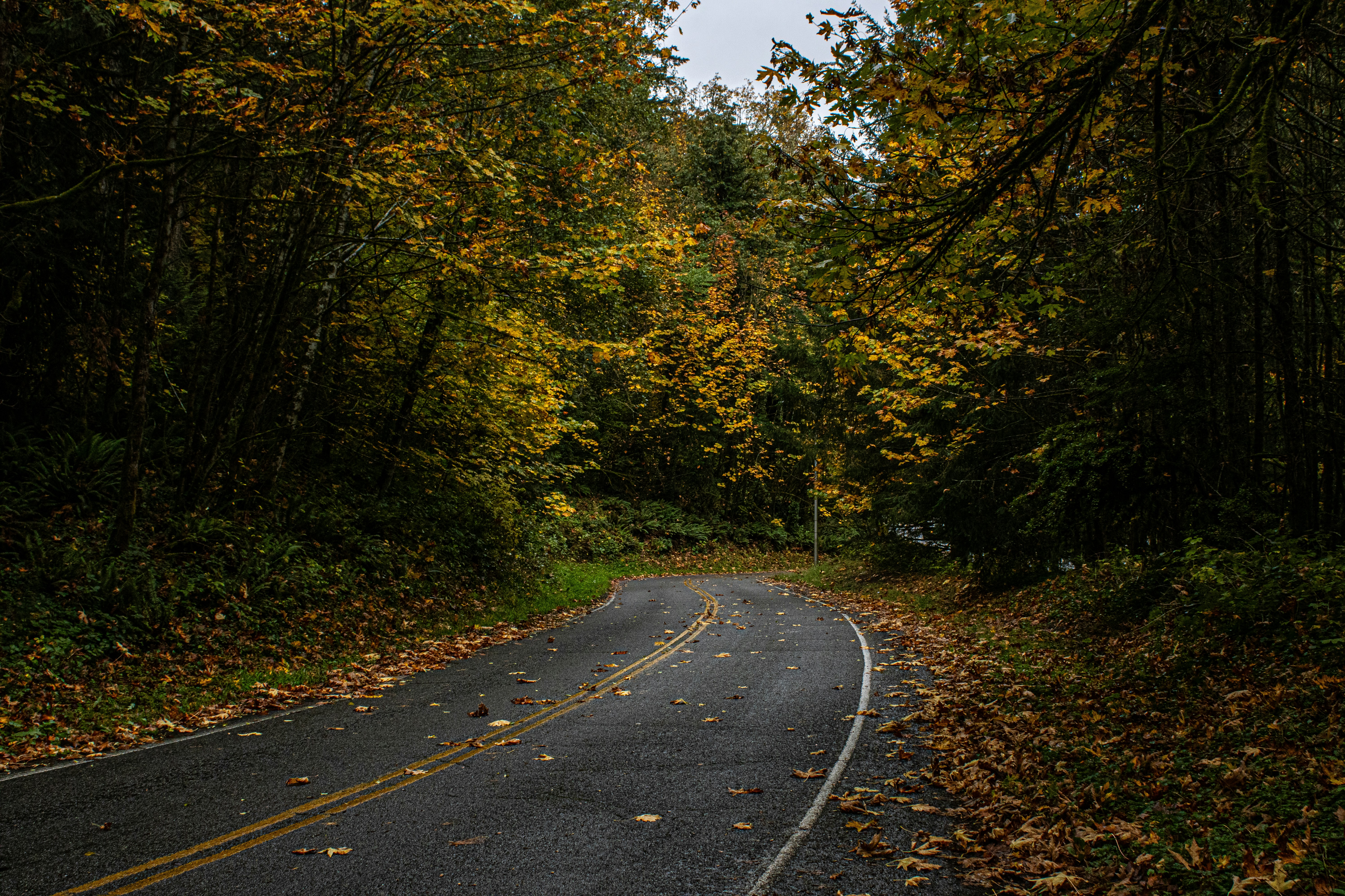 Photo by prphotography262