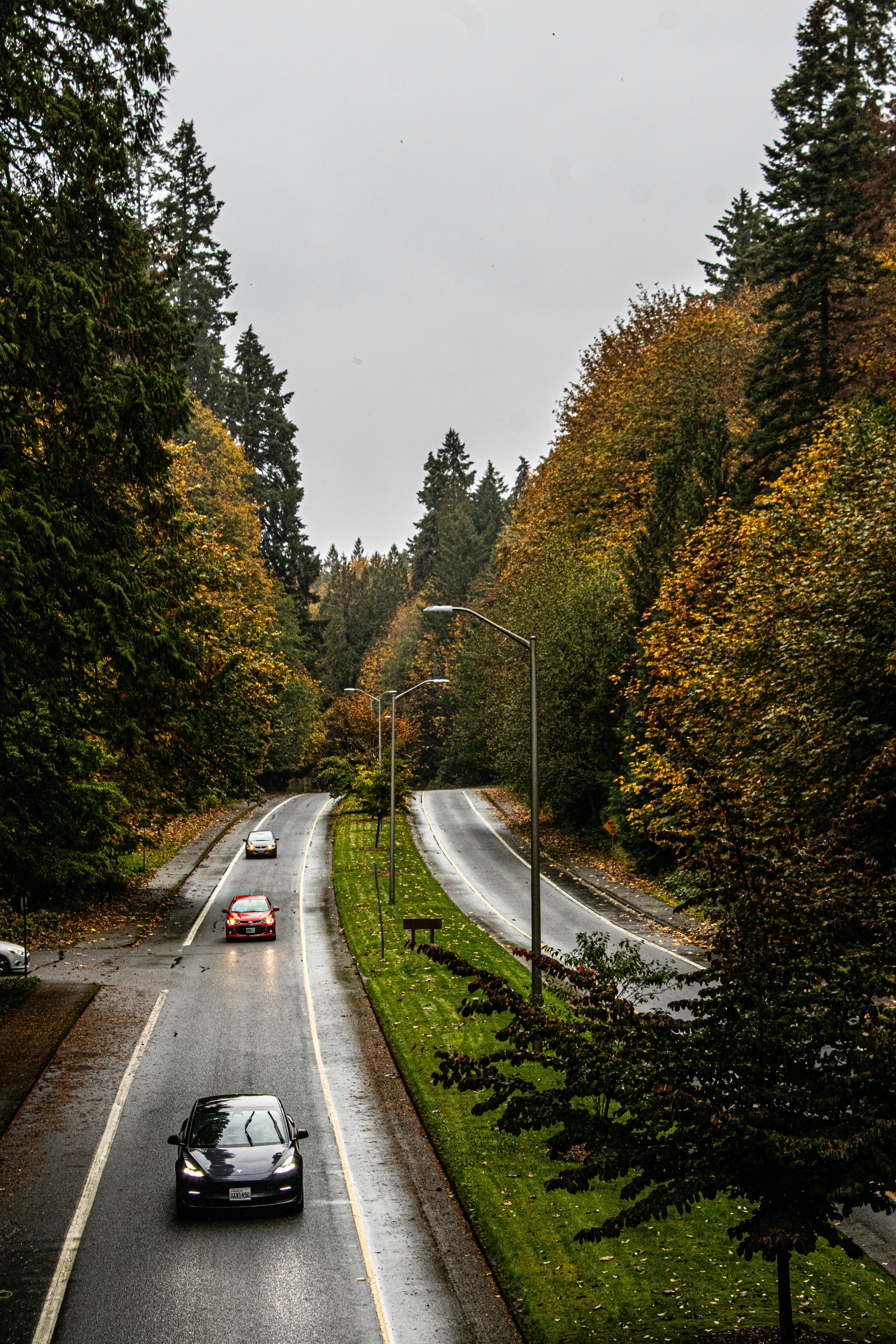 Photo by prphotography262