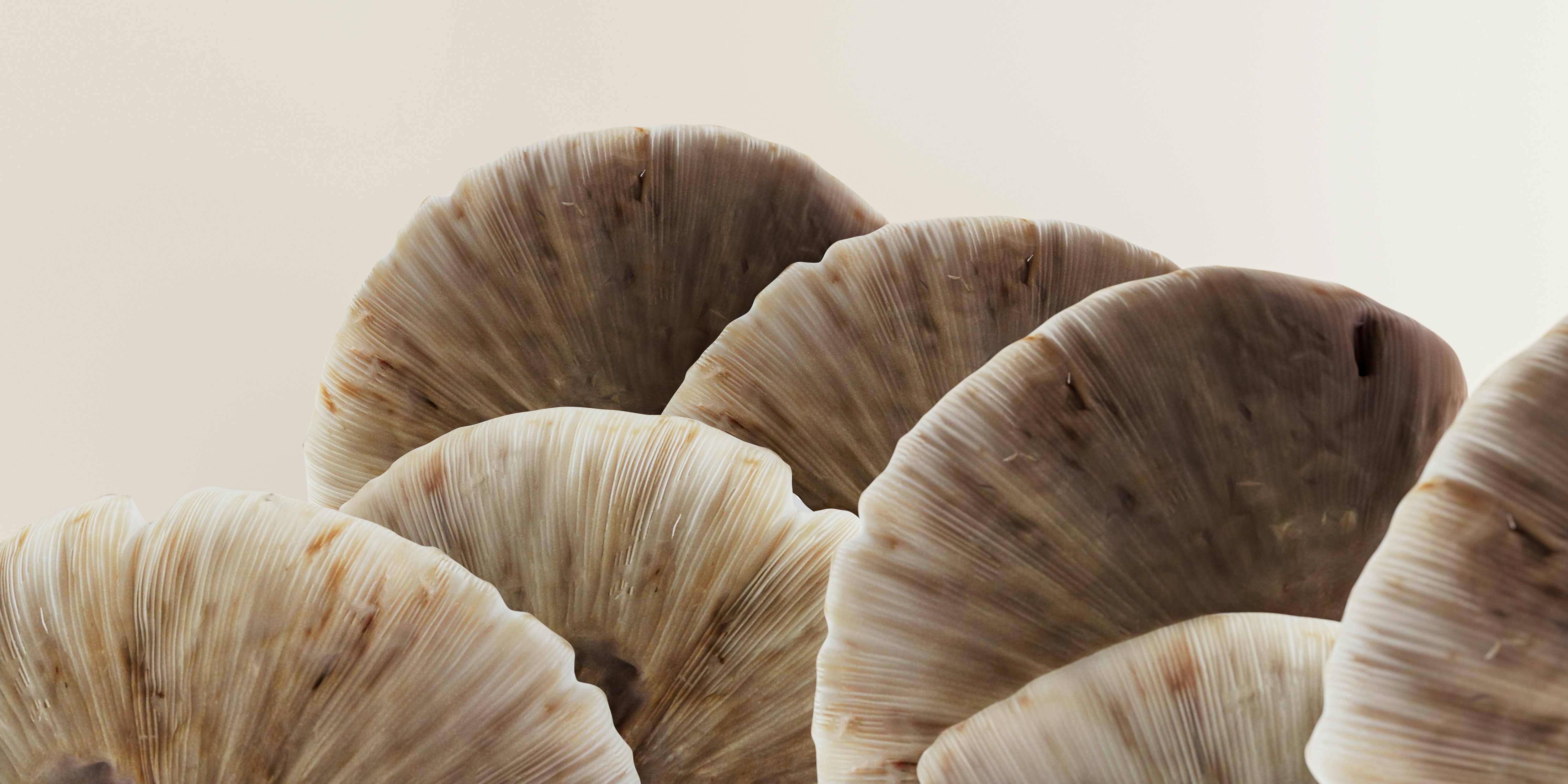 Photo by bharath9110