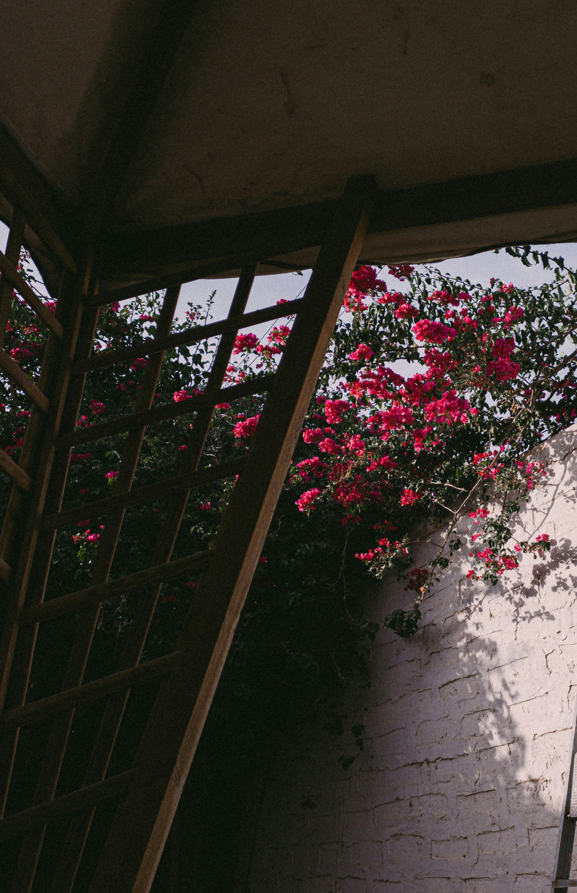 Photo by tahaisthere