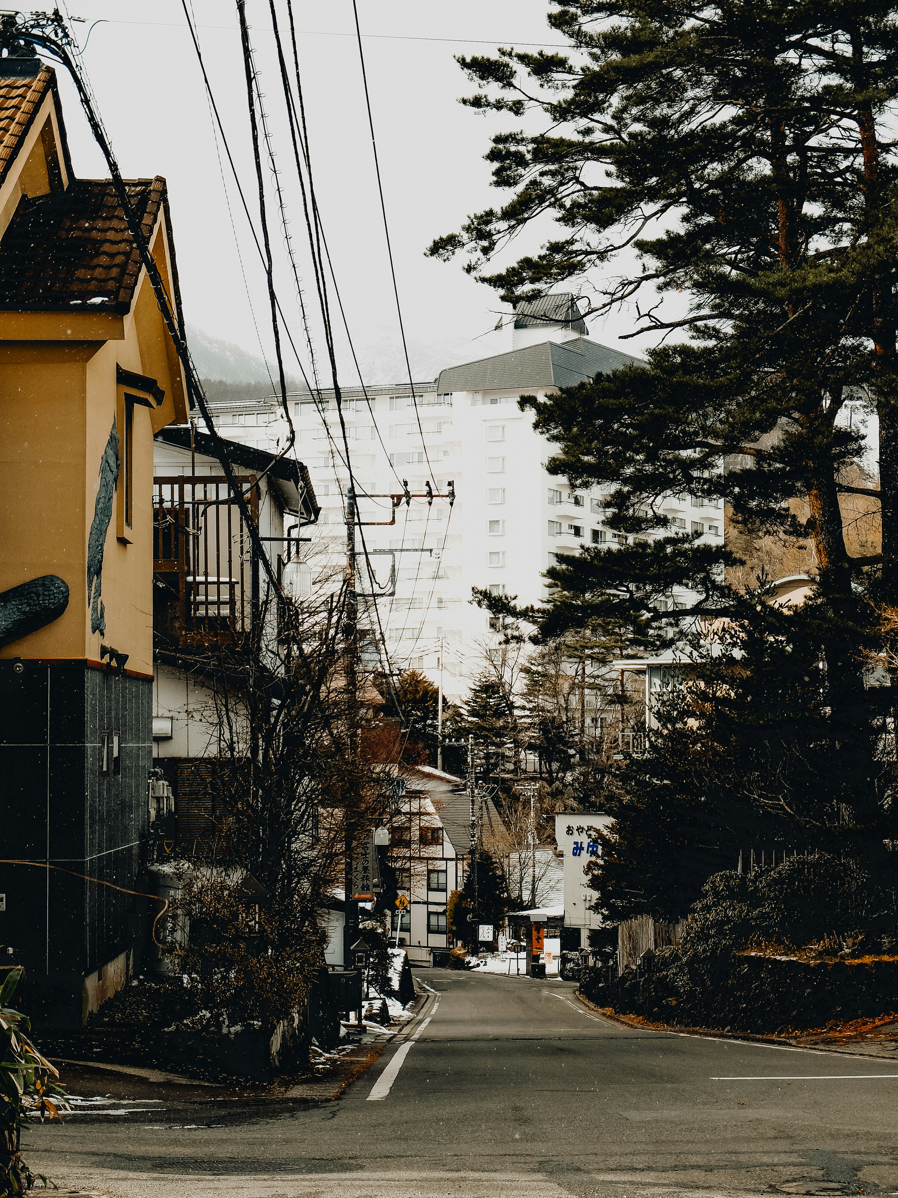 A street with houses and power lines in the background