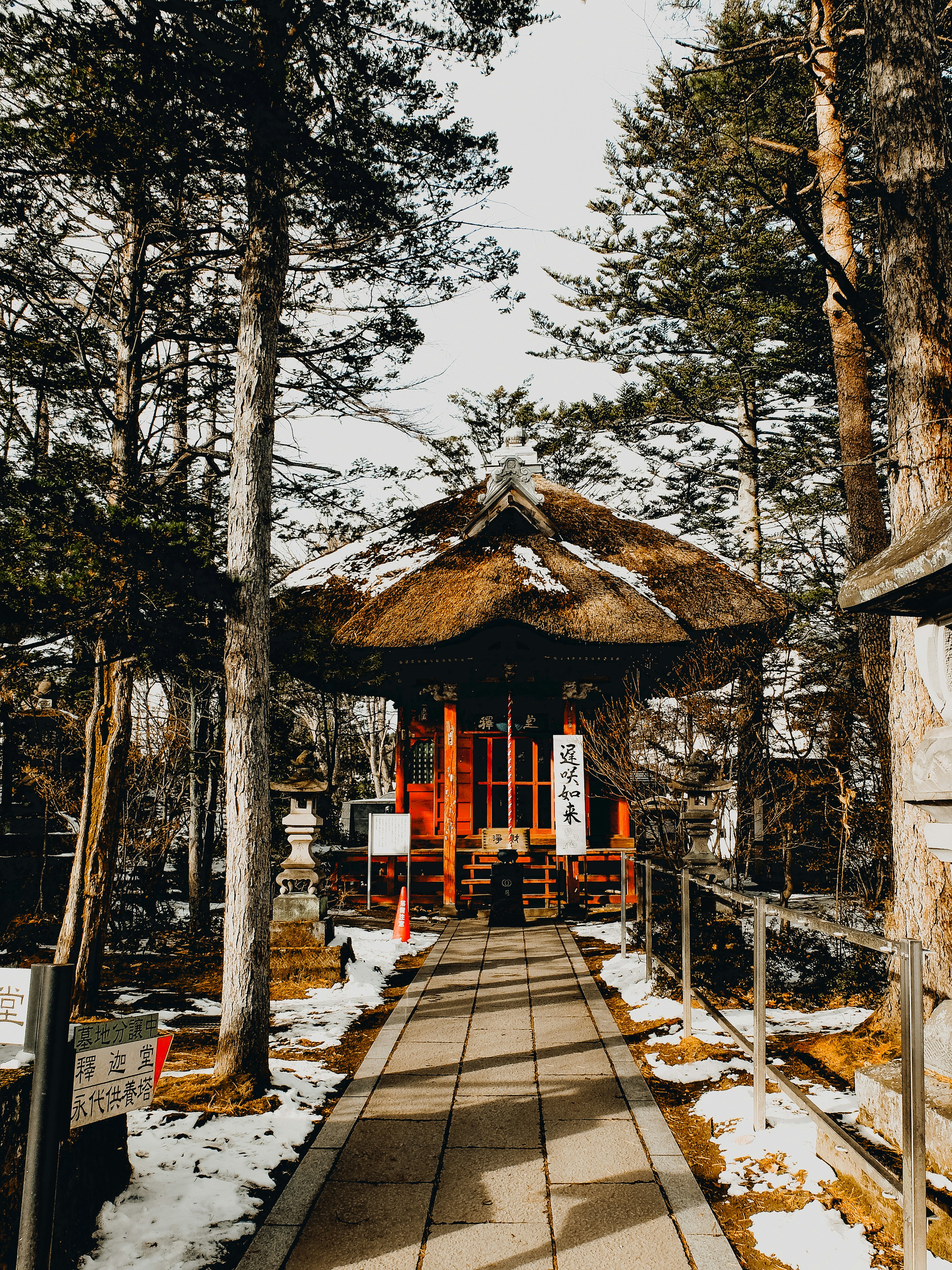 A path leading to a small building in the woods