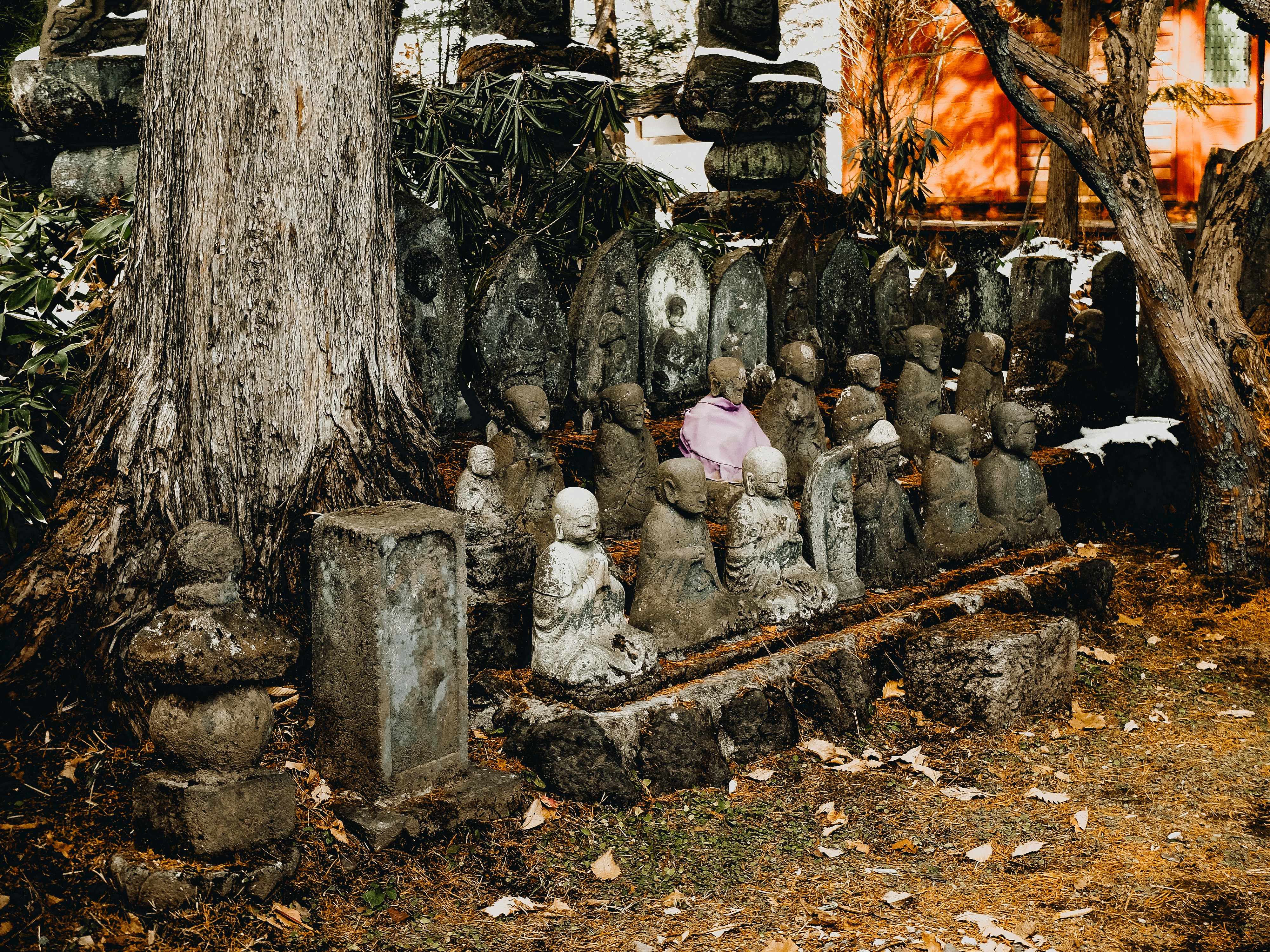 A group of buddha statues sitting next to a tree