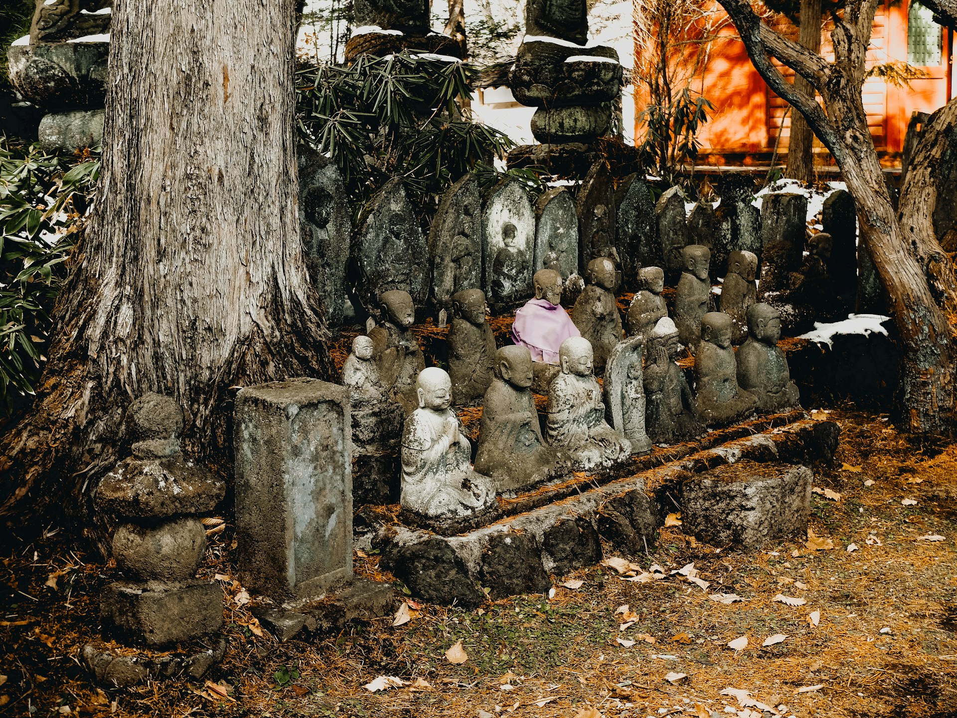 A group of buddha statues sitting next to a tree