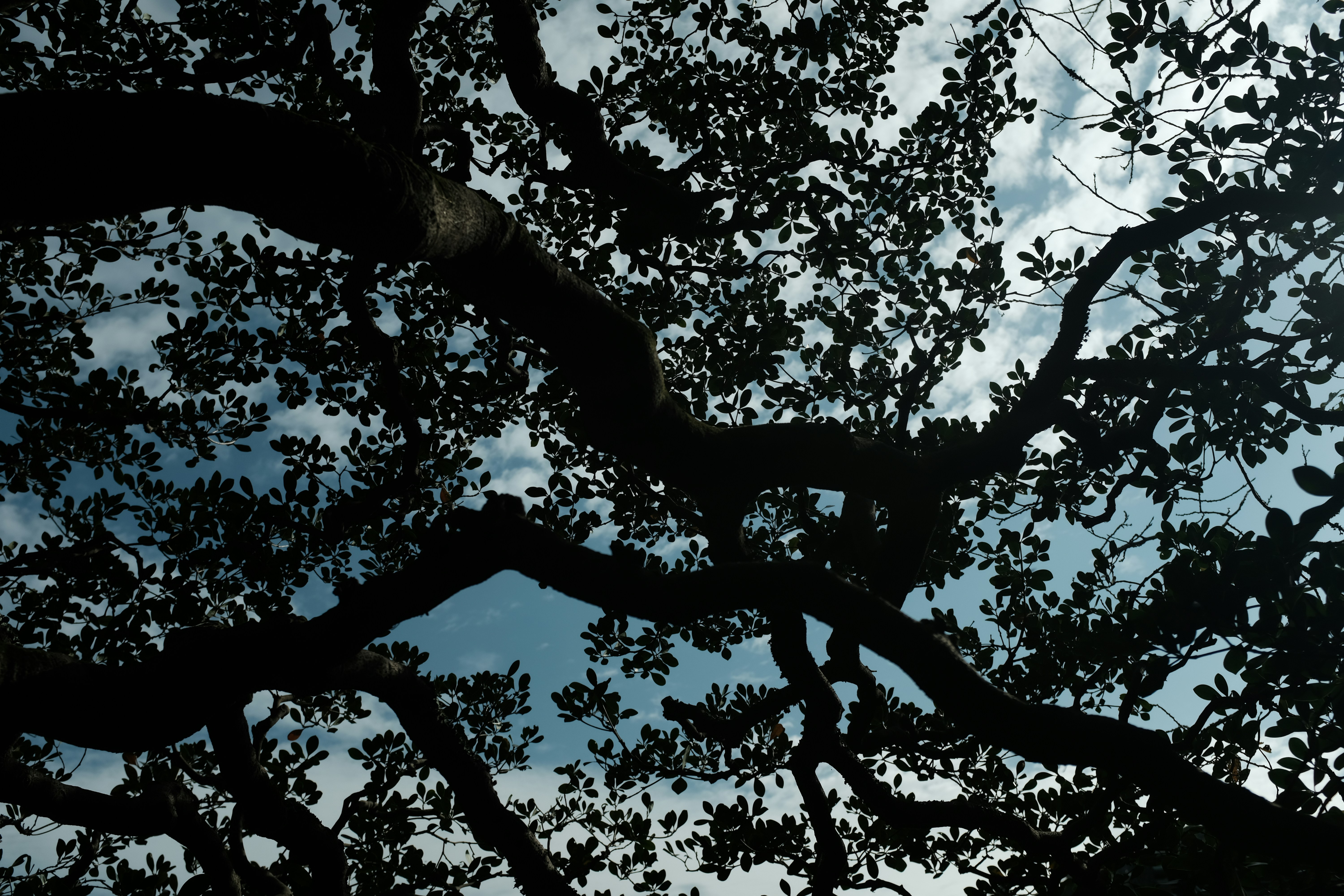 Photo by danishprakash