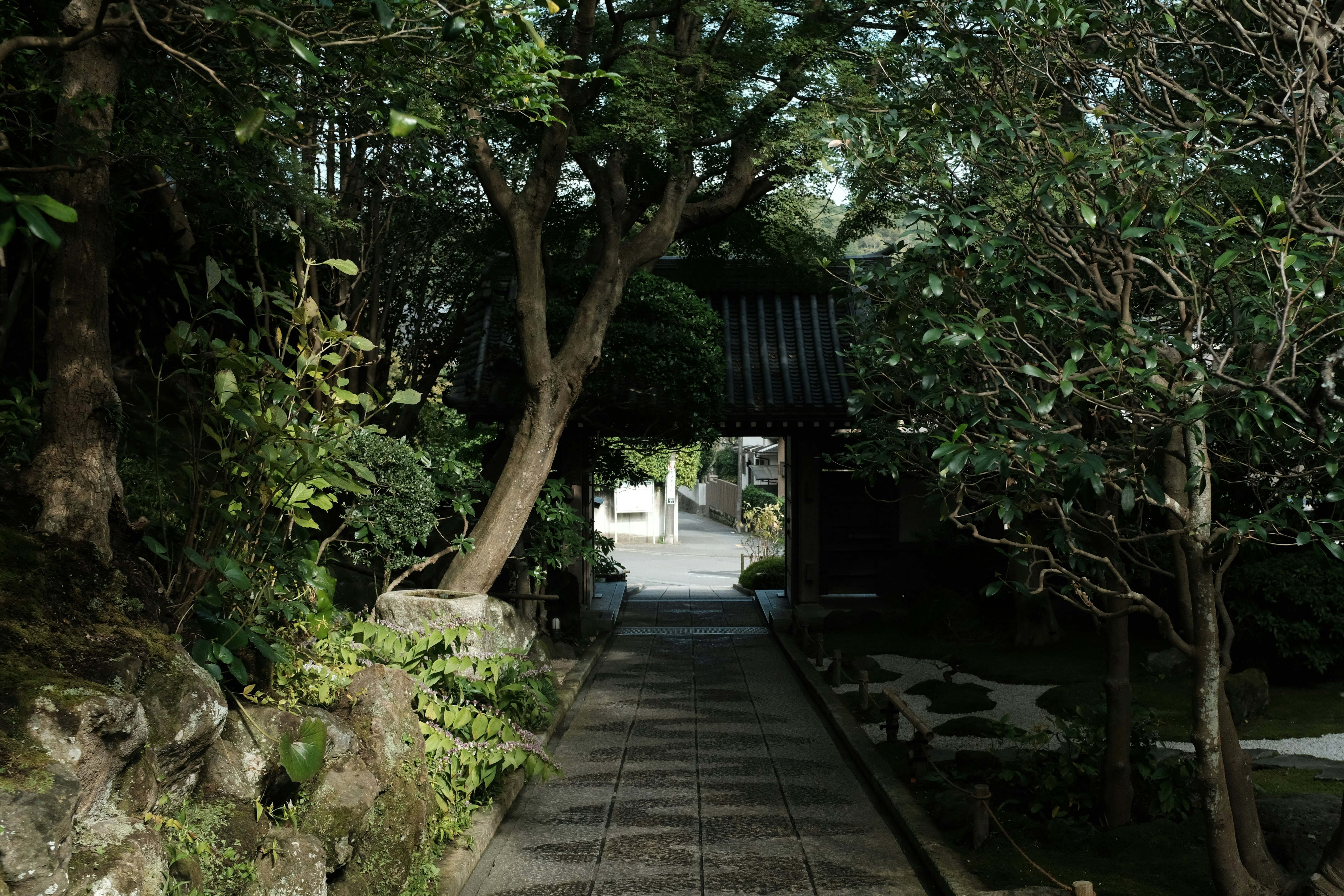 Photo by danishprakash