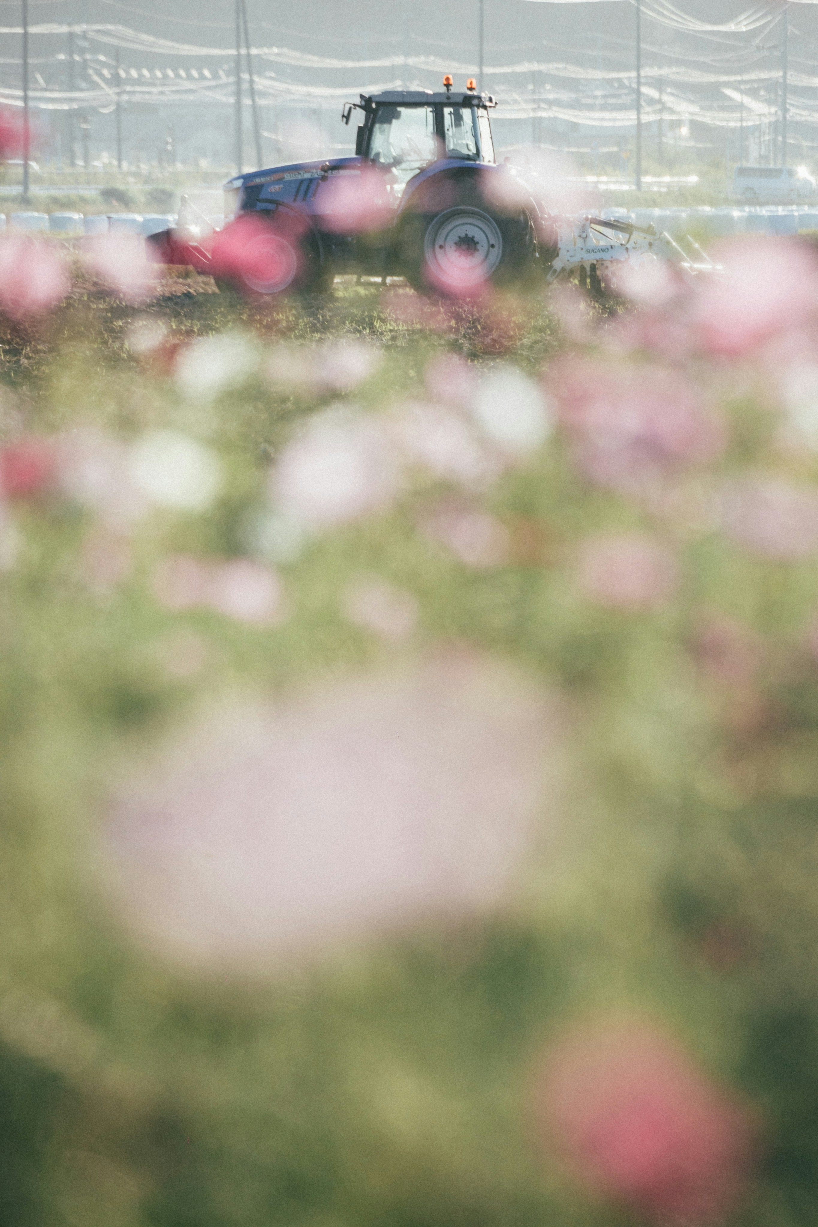 Photo by tsuyoshikozu